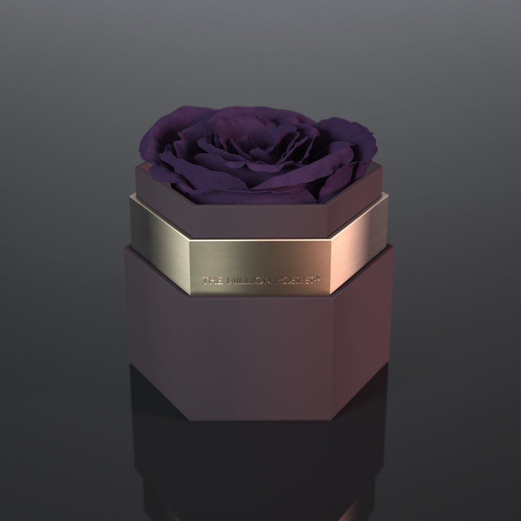 one in a million™ - hexagon coffee box / copper ring / dark-purple rose purple eternity roses - the million roses