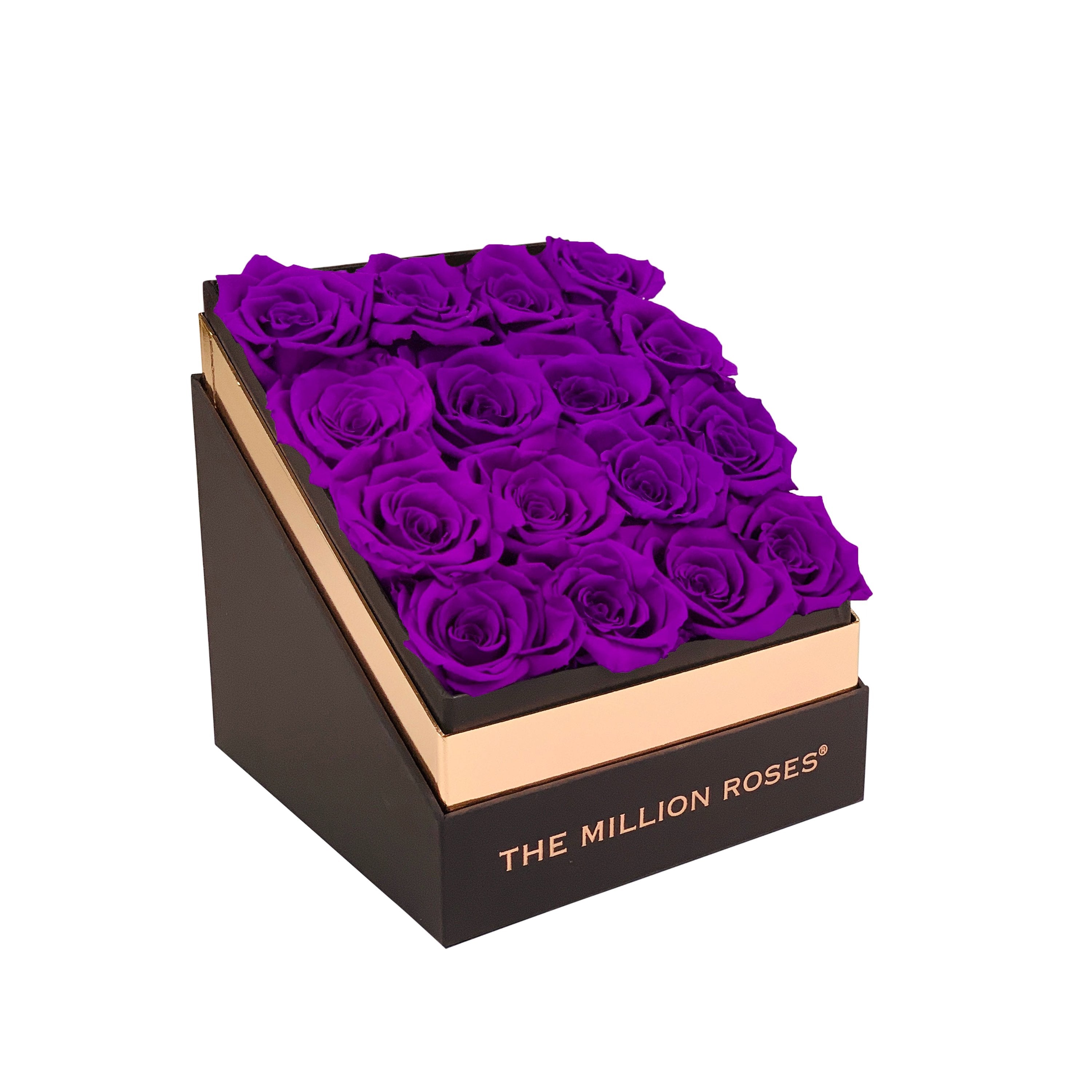 The Square - Coffee Box - Bright Purple Roses