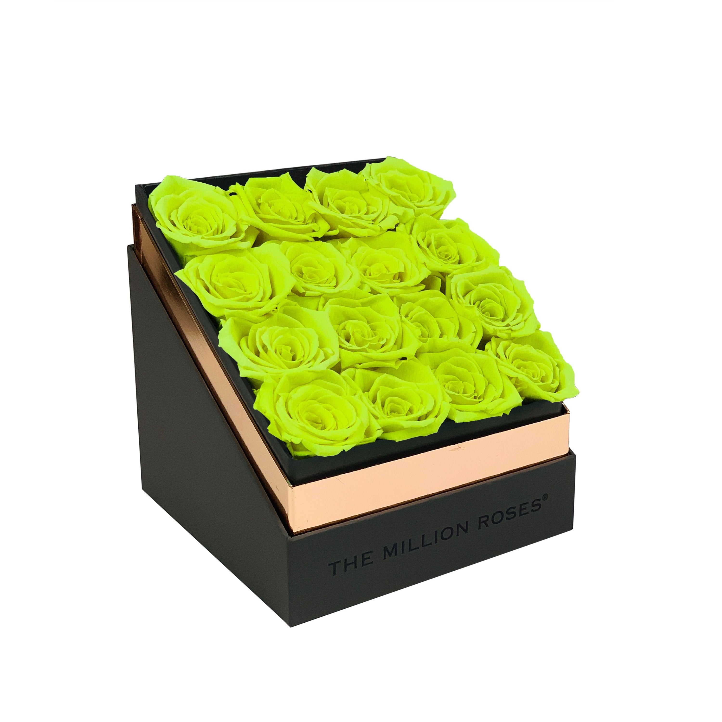 The Square - Gray Box - Neon Green Roses