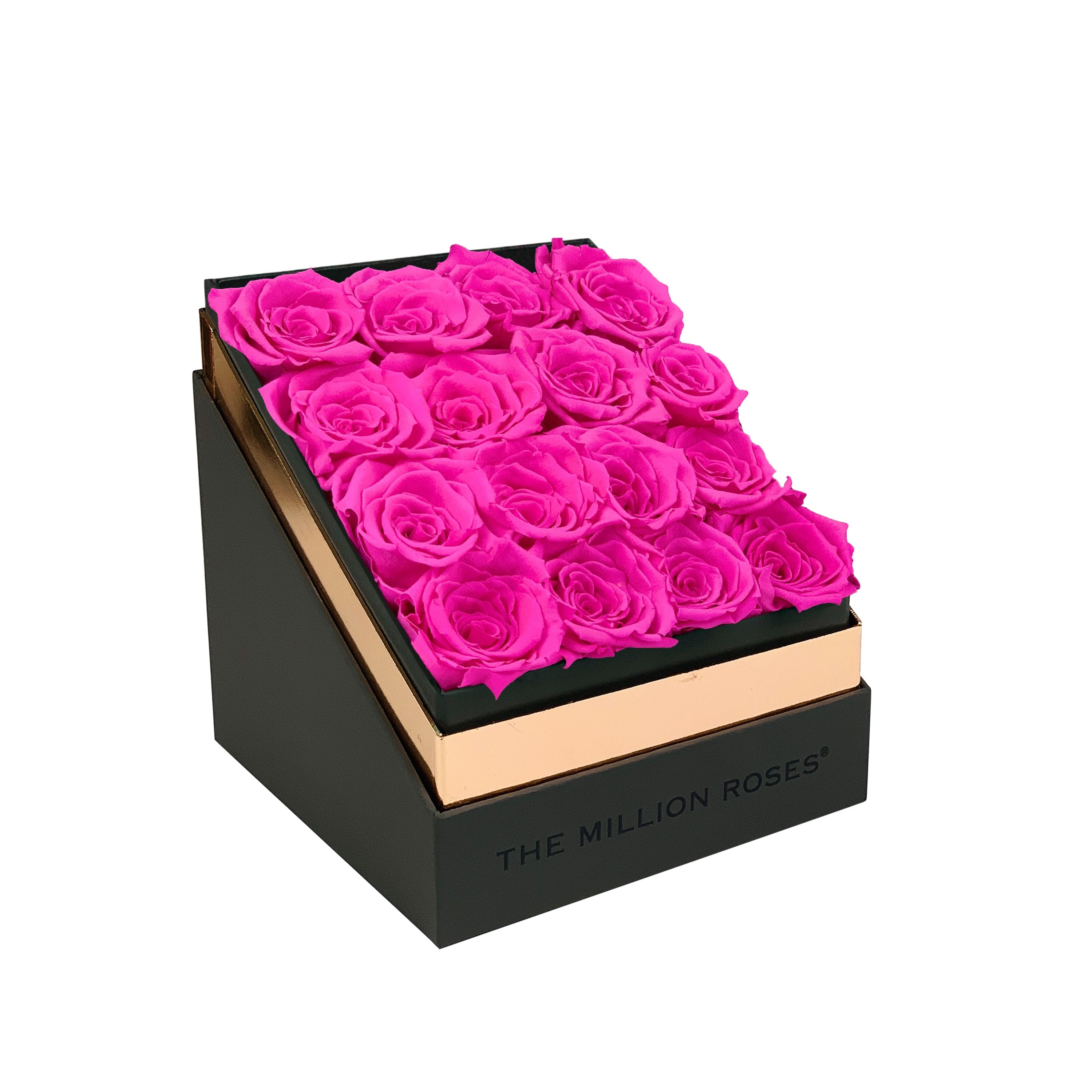 The Square - Gray Box - Neon Pink Roses