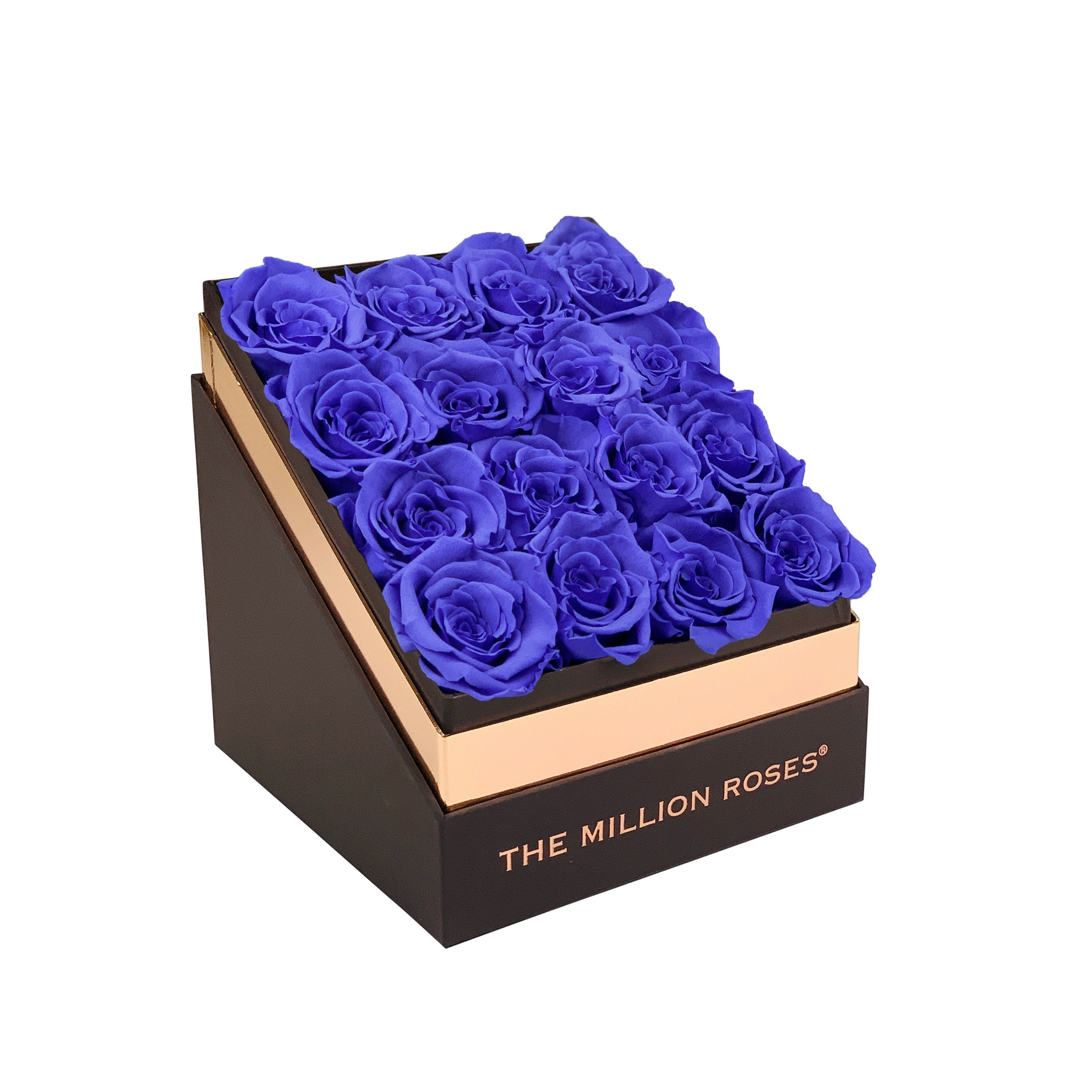 The Square - Coffee Box - Violet Roses