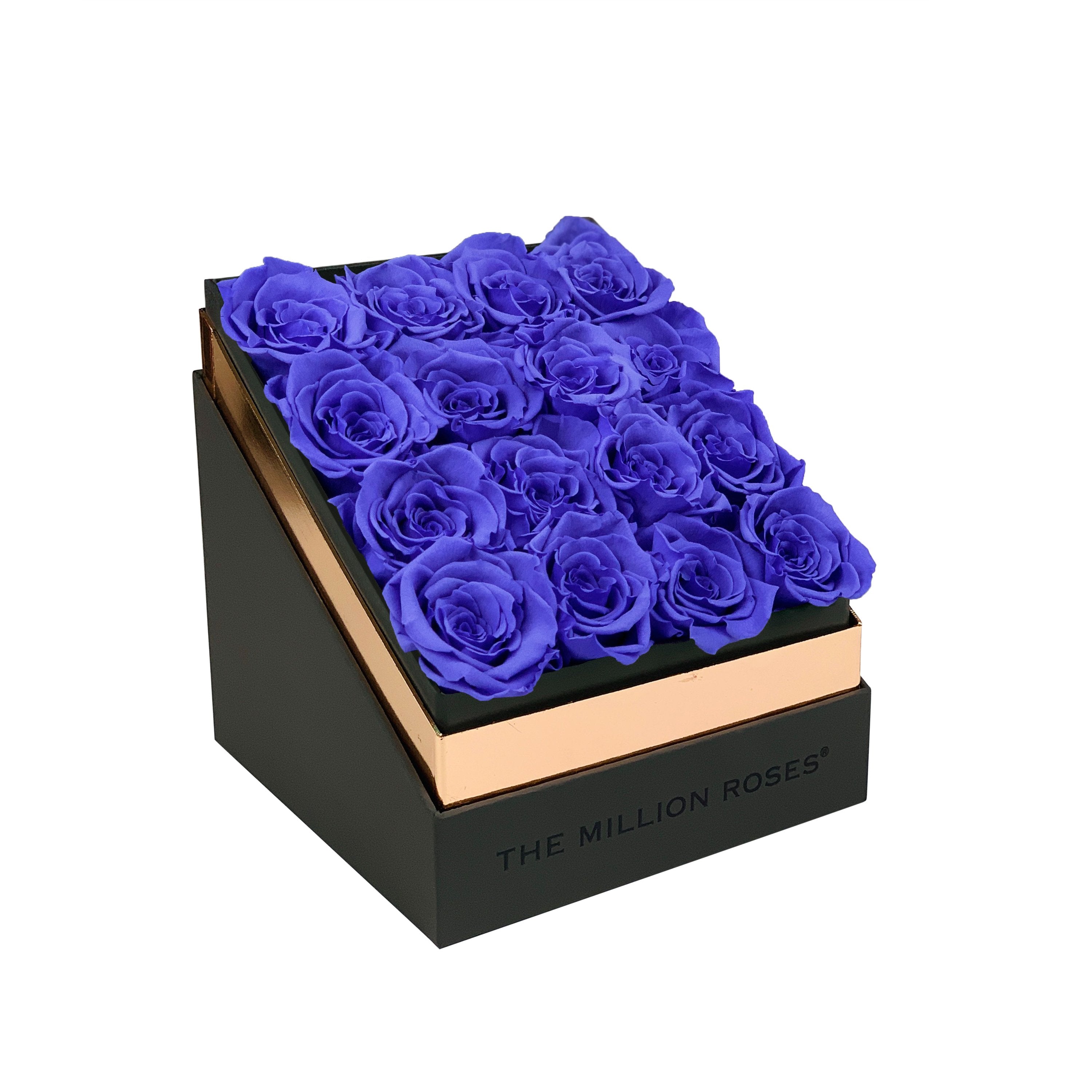 The Square - Gray Box - Violet Roses