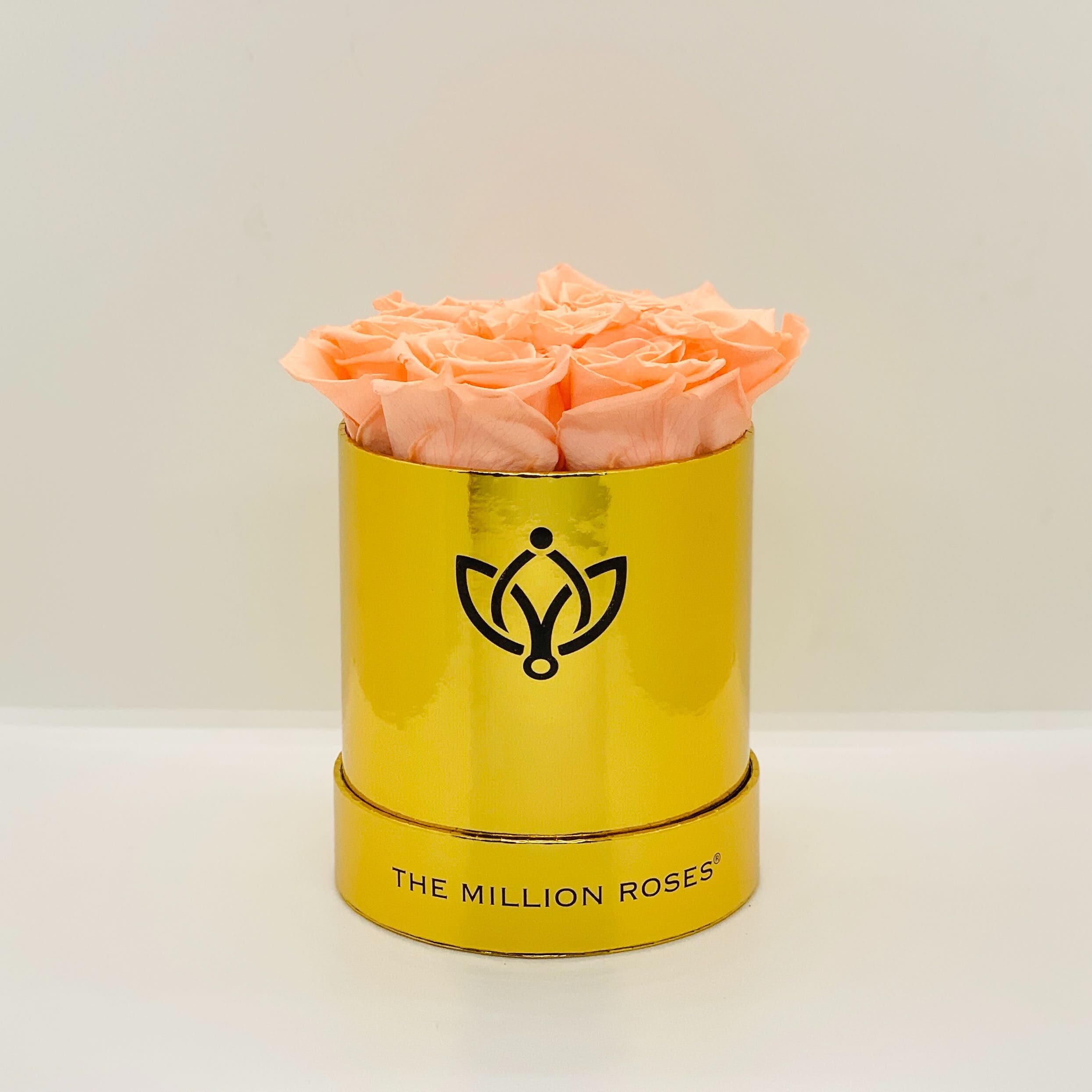 Basic Mirror Gold Box | Peach Roses - The Million Roses