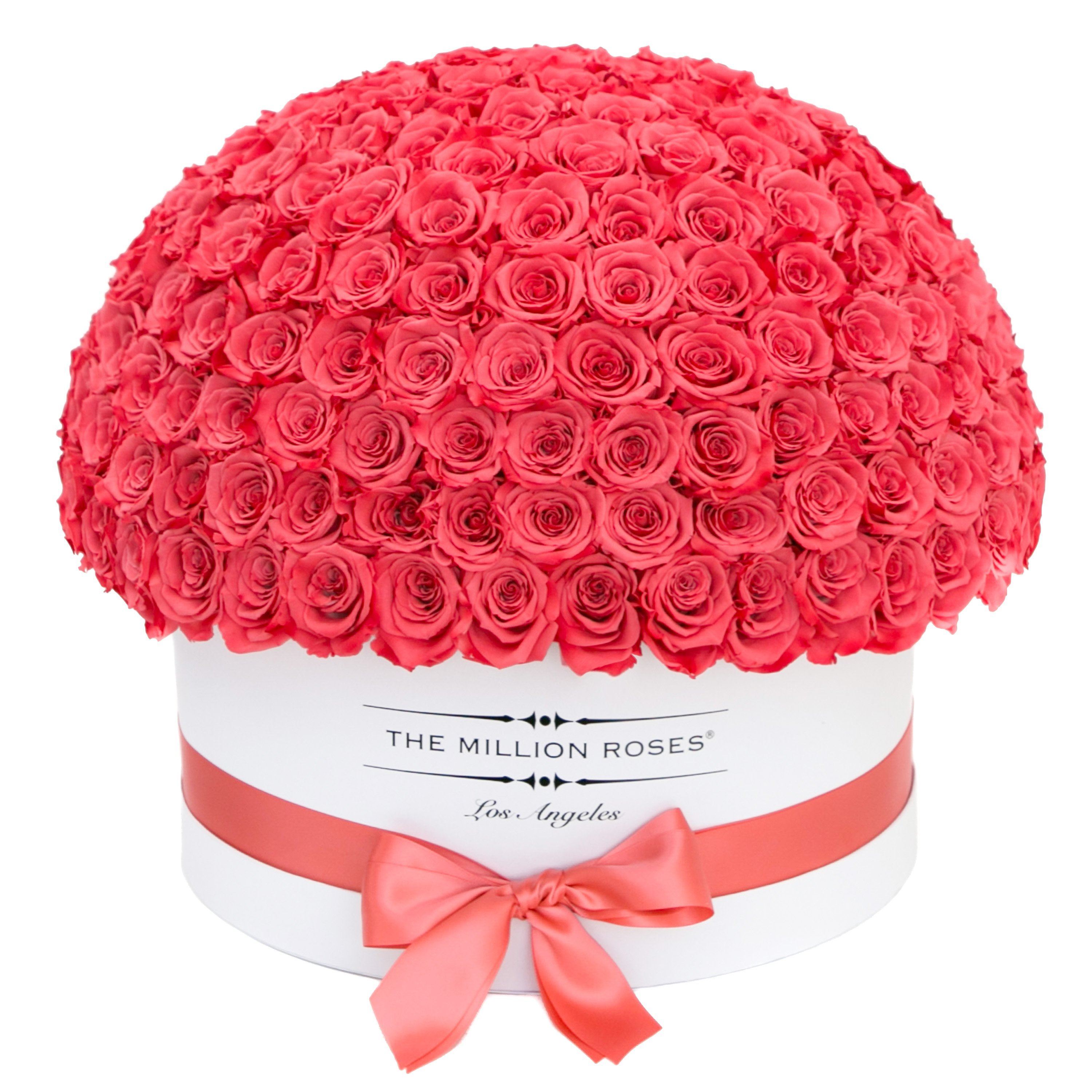 the million LARGE  DOME box - white - coral (dome) ETERNITY roses coral eternity roses - the million roses