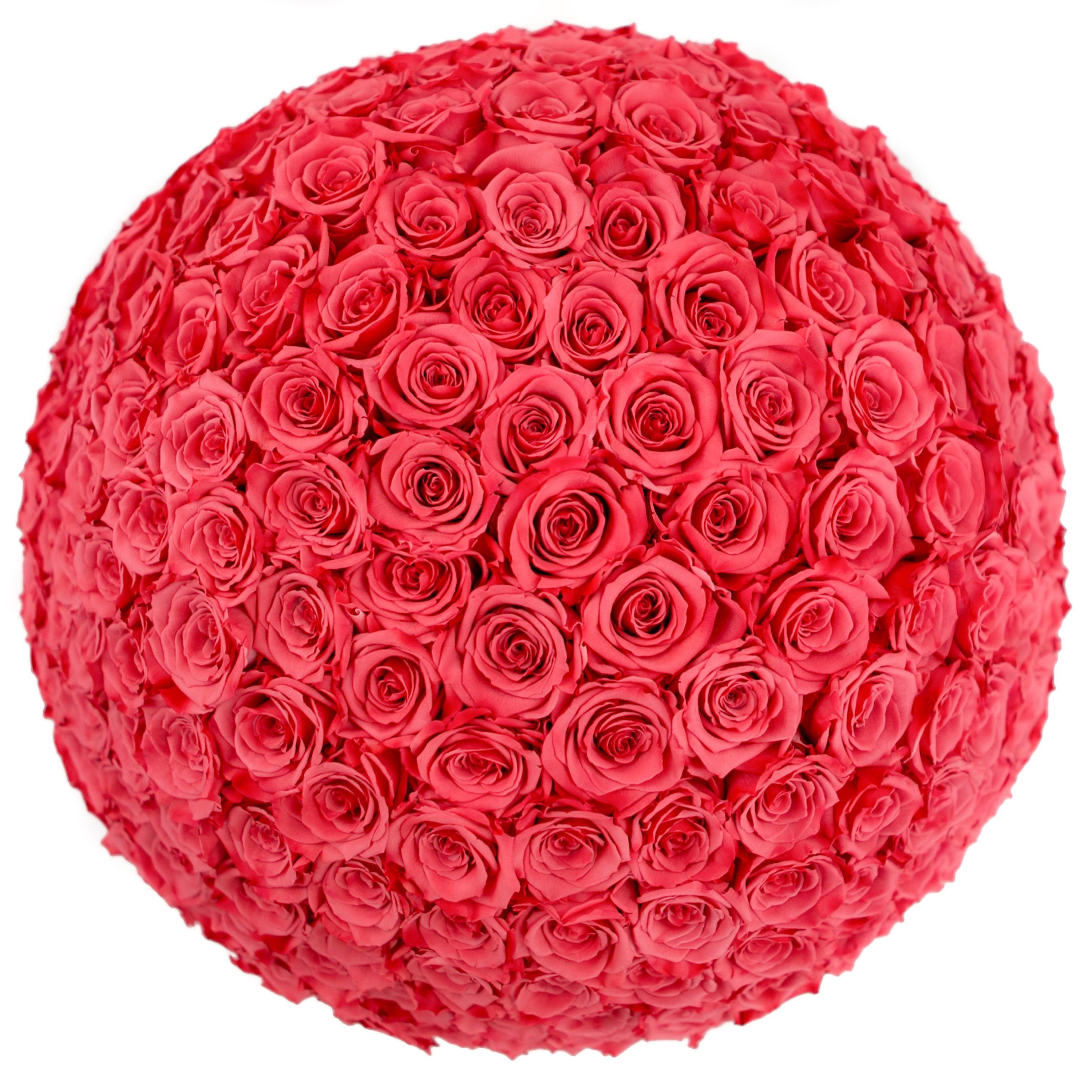 the million LARGE  DOME box - white - coral (dome) ETERNITY roses coral eternity roses - the million roses