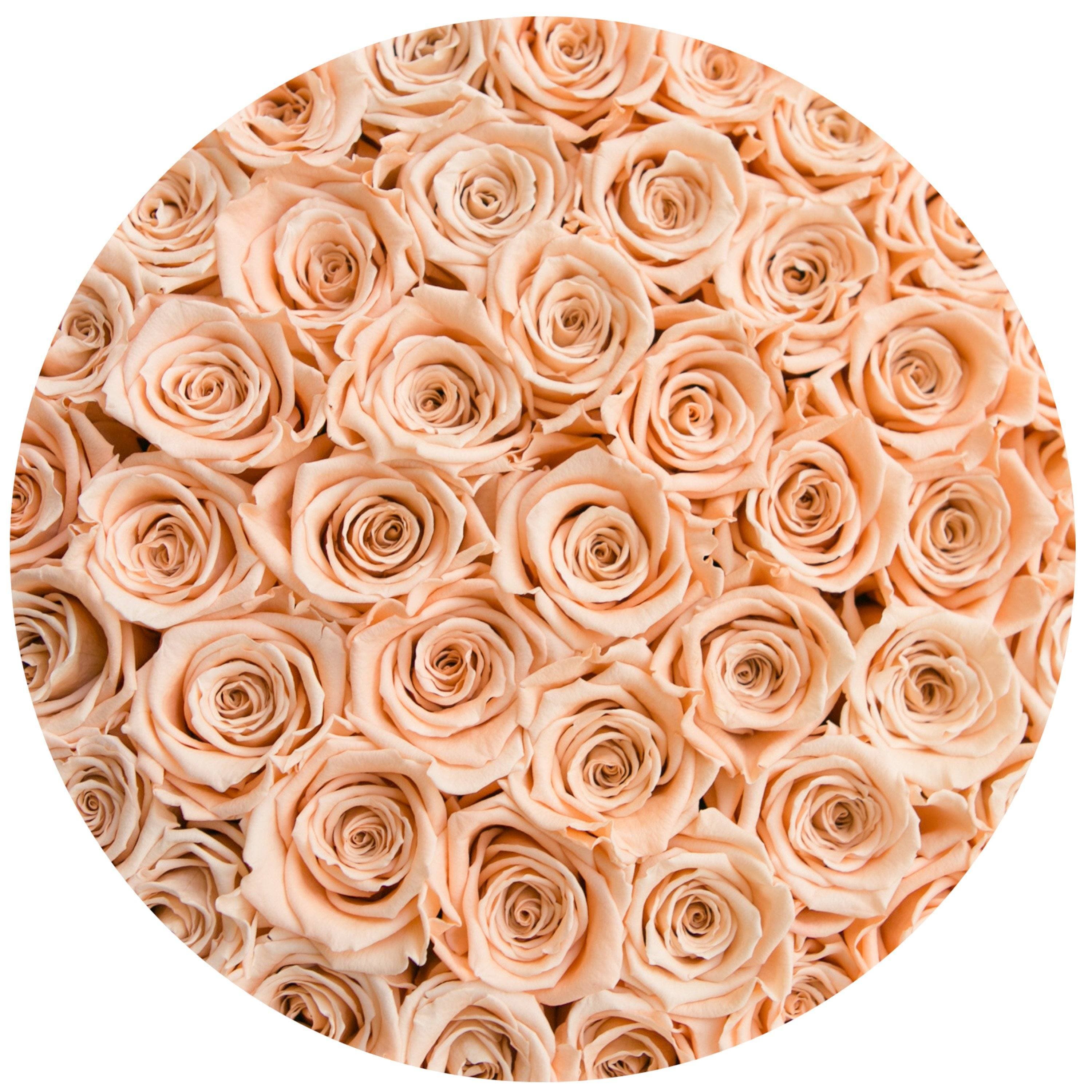 medium round box - gold - peach roses peach eternity roses - the million roses