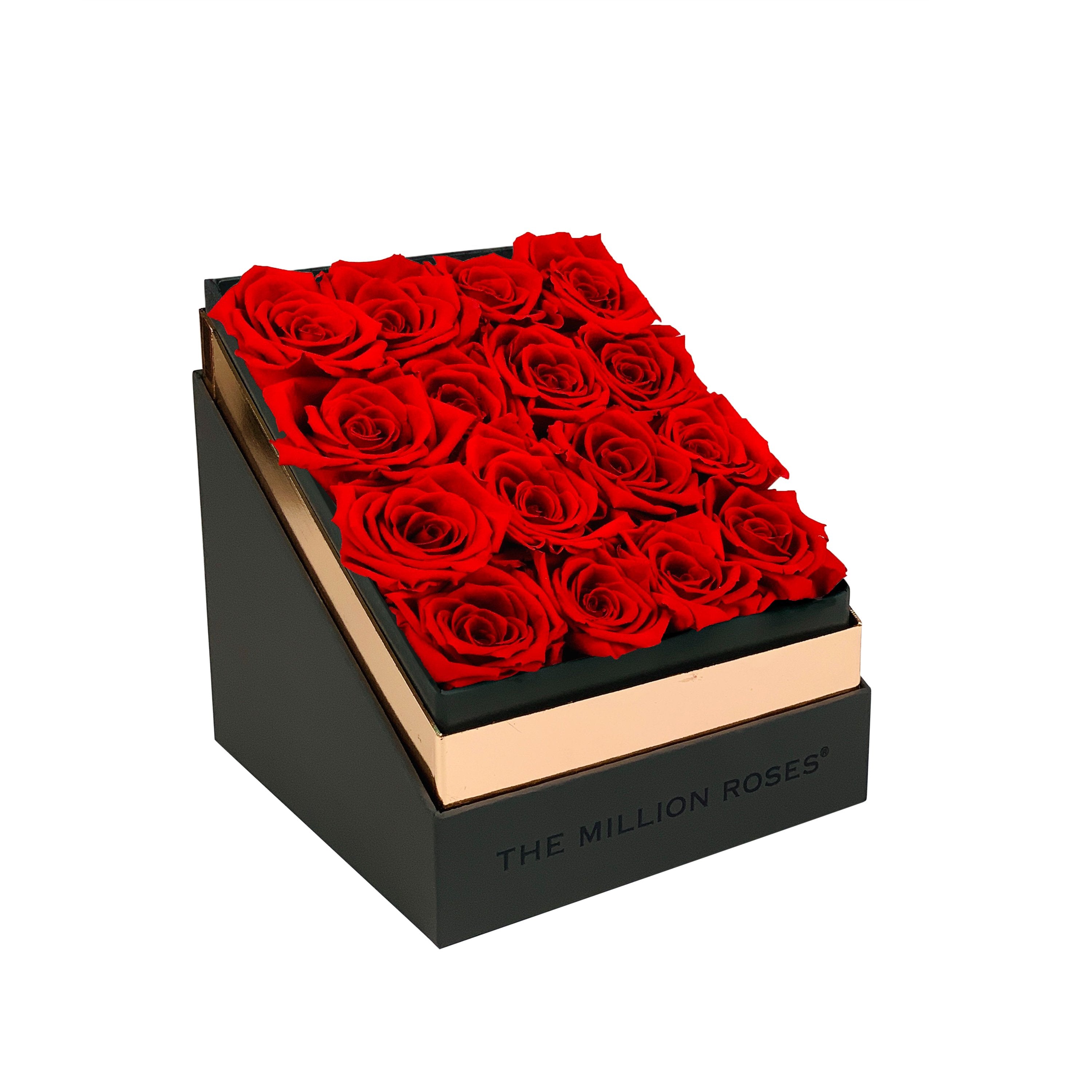 The Square - Gray Box - Red Roses