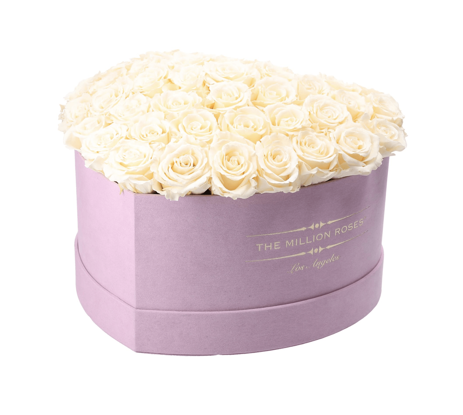 the million LOVE+ - glamour light-pink suede box - ivory (dome) ETERNITY roses ivory eternity roses - the million roses