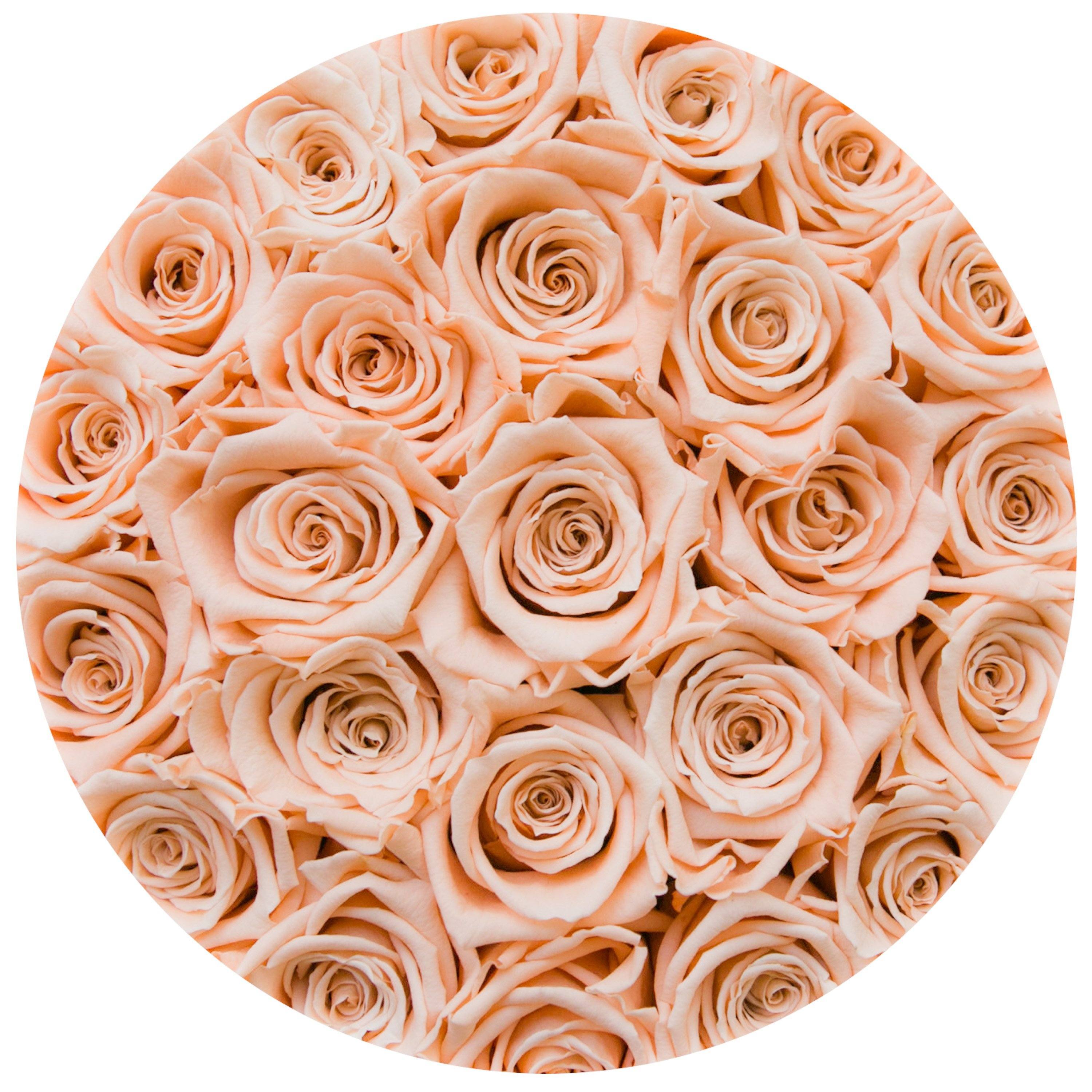 classic round box - white - peach roses peach eternity roses - the million roses