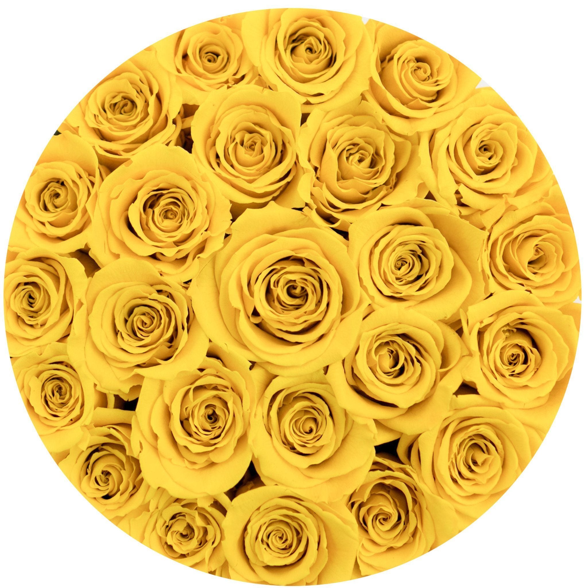 classic round box - black - yellow roses yellow eternity roses - the million roses