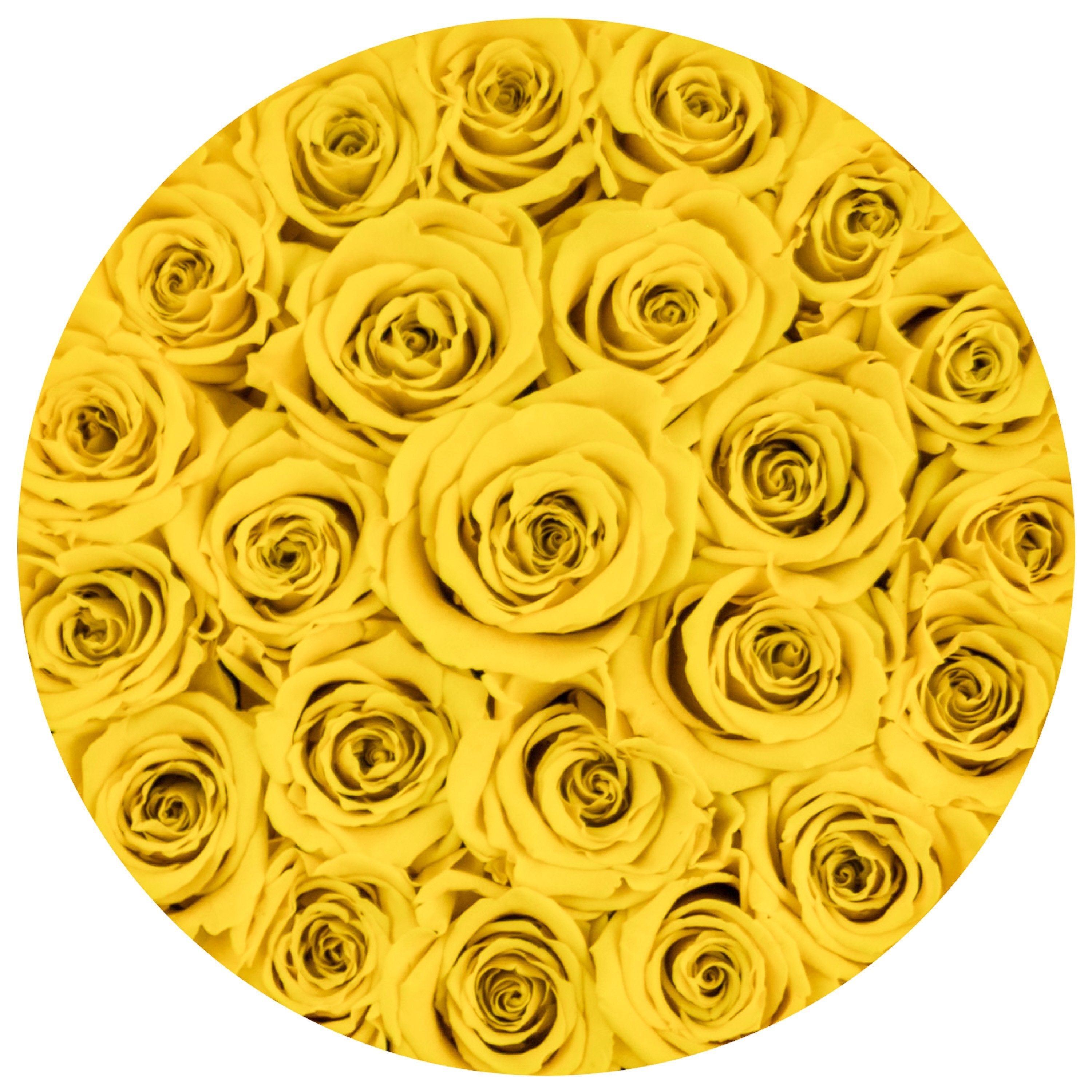 classic round box - white - yellow roses yellow eternity roses - the million roses