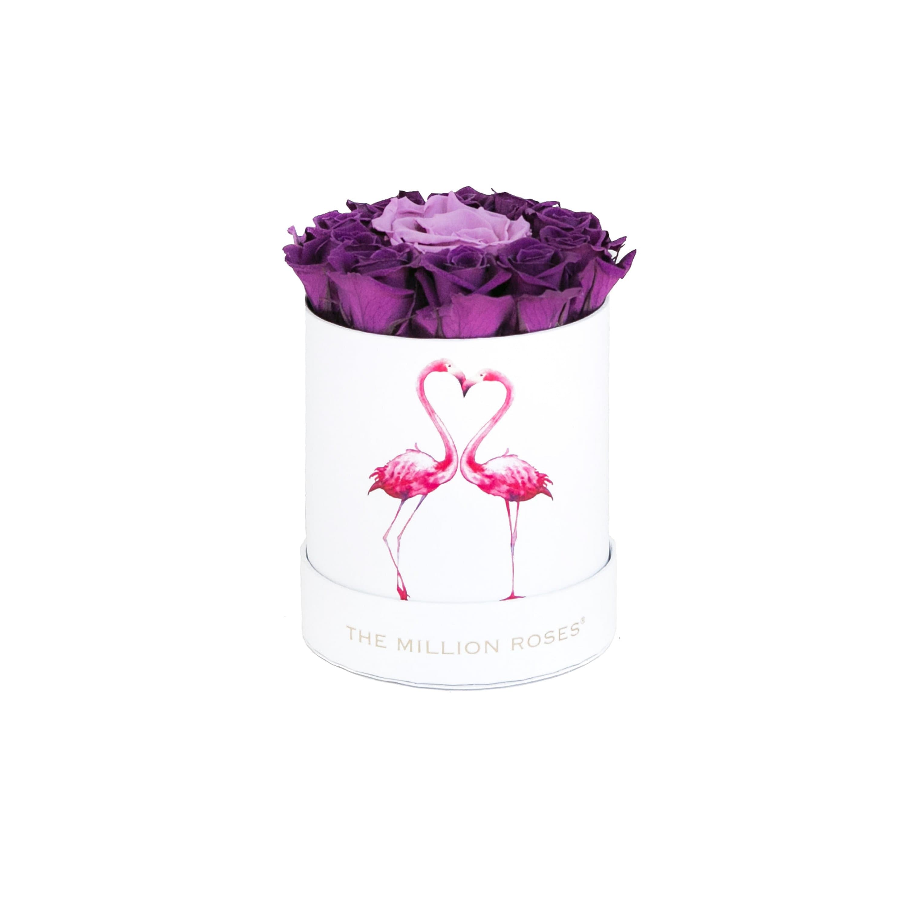 Basic White Box | Flamingo Edition | Bright Purple Mini Roses - The Million Roses