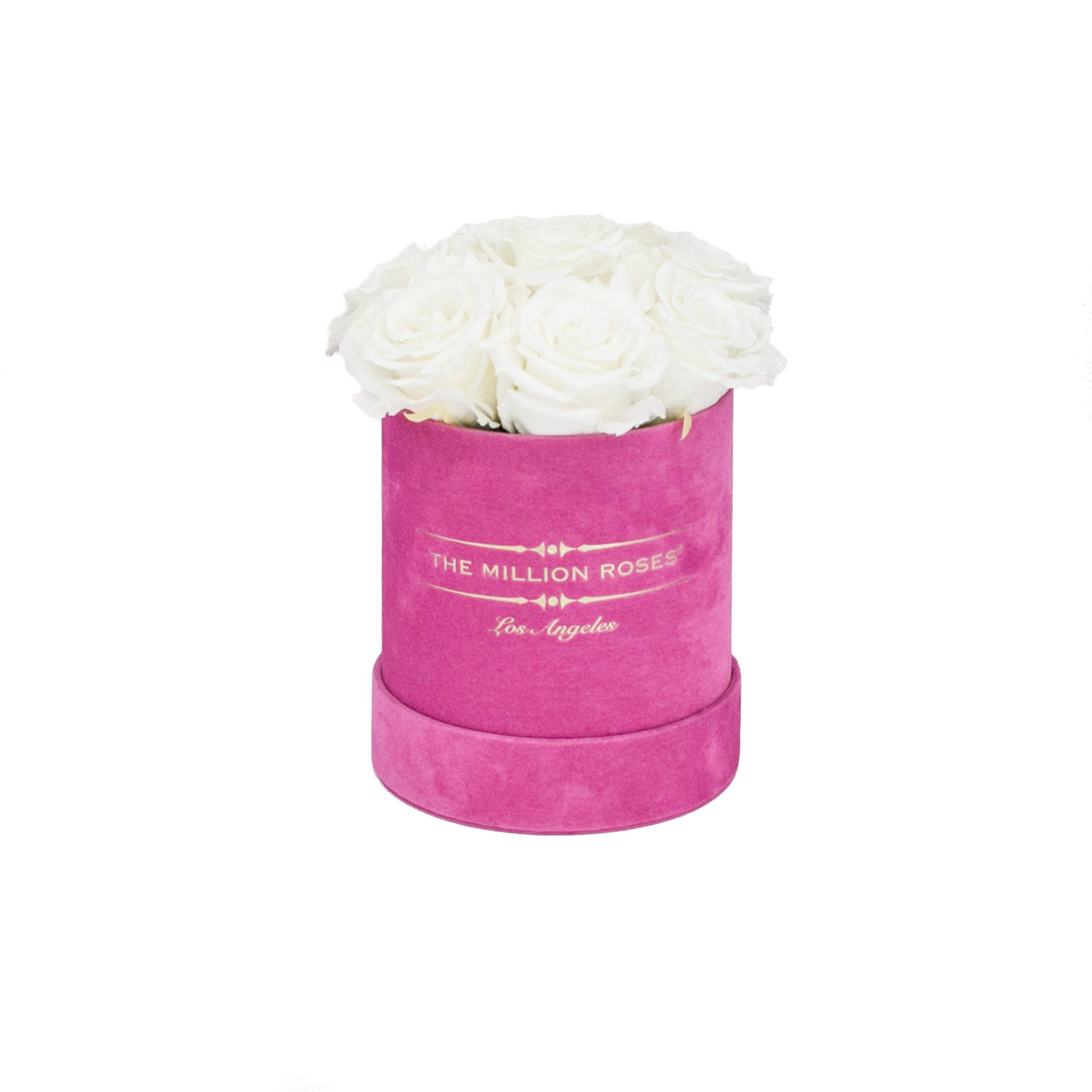 basic round box+ - hot-pink suede box - white roses white eternity roses - the million roses