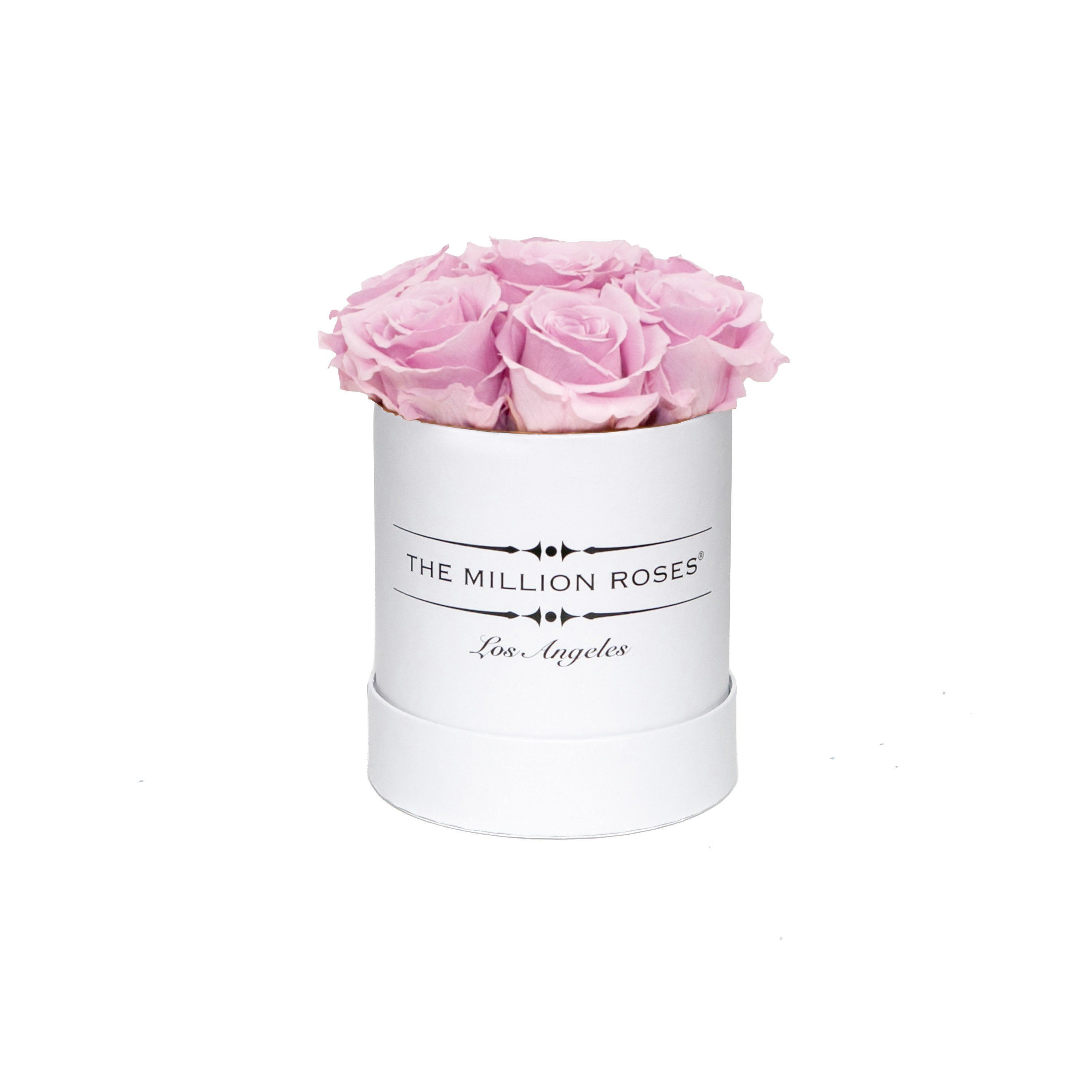 the million Basic+ box - white - bride-pink ETERNITY+ roses pink eternity roses - the million roses