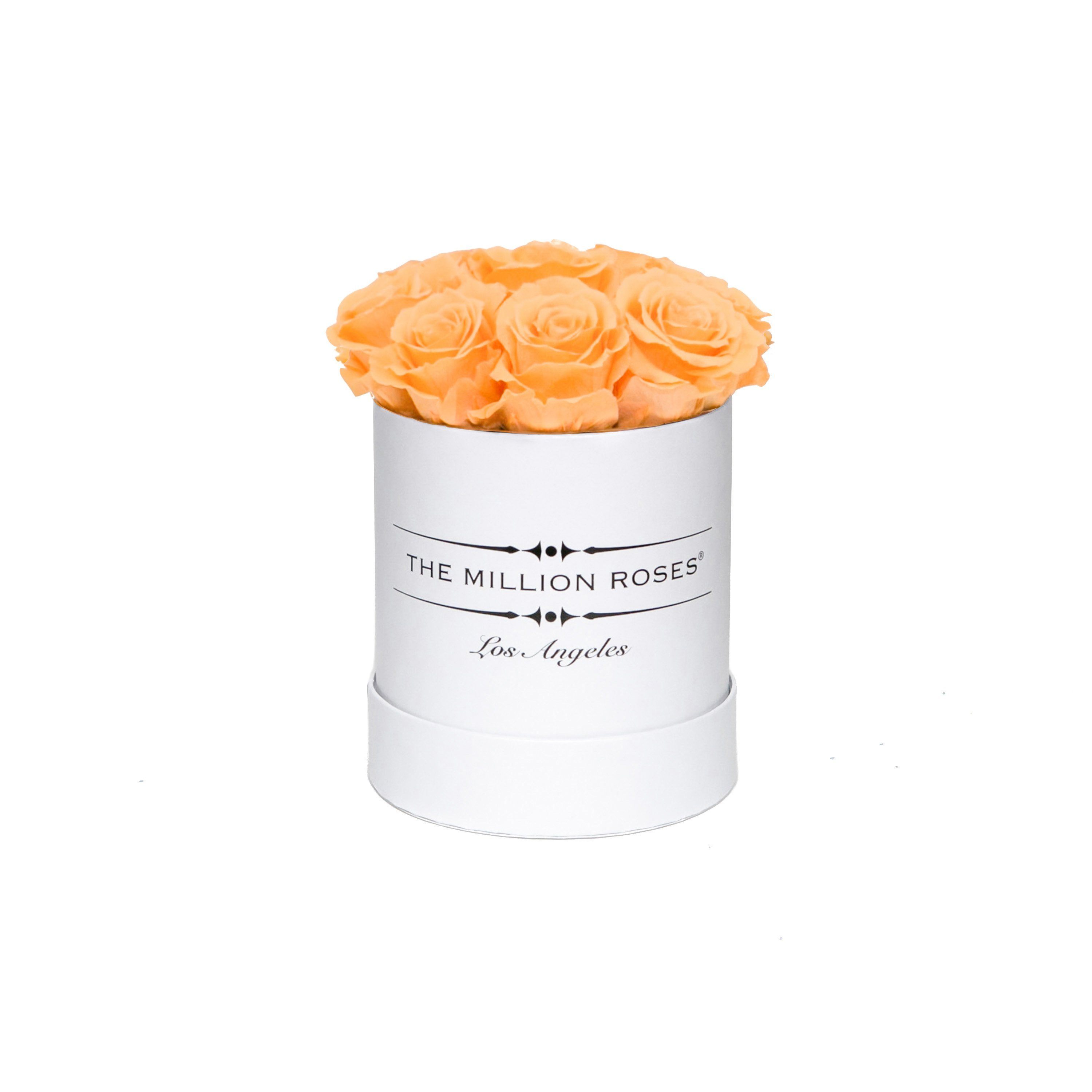 basic round box+ box - white - apricot + roses apricot eternity roses - the million roses