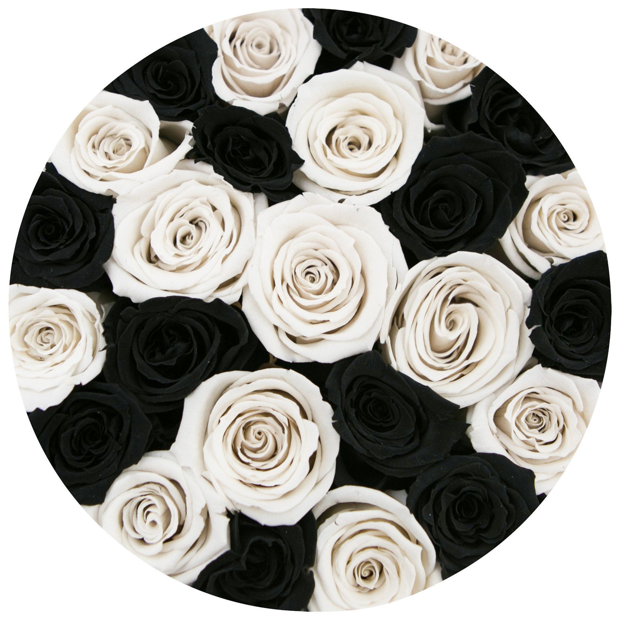 classic round box - black - black&white roses mixed eternity roses - the million roses