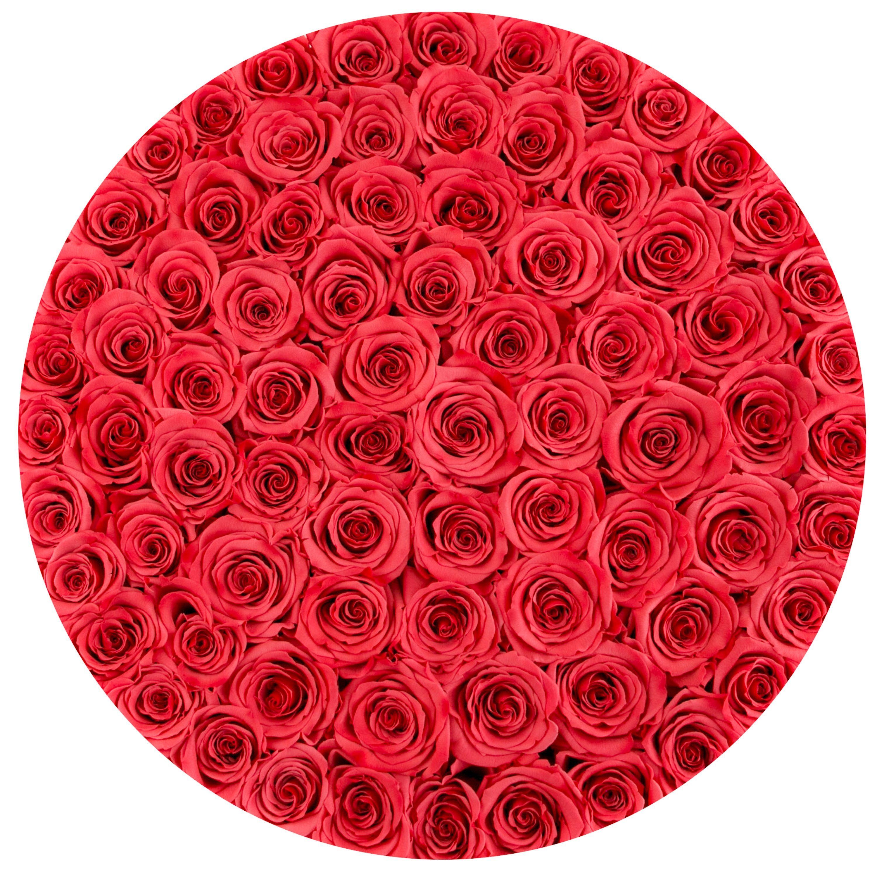 the million LARGE round box - white - coral ETERNITY roses coral eternity roses - the million roses