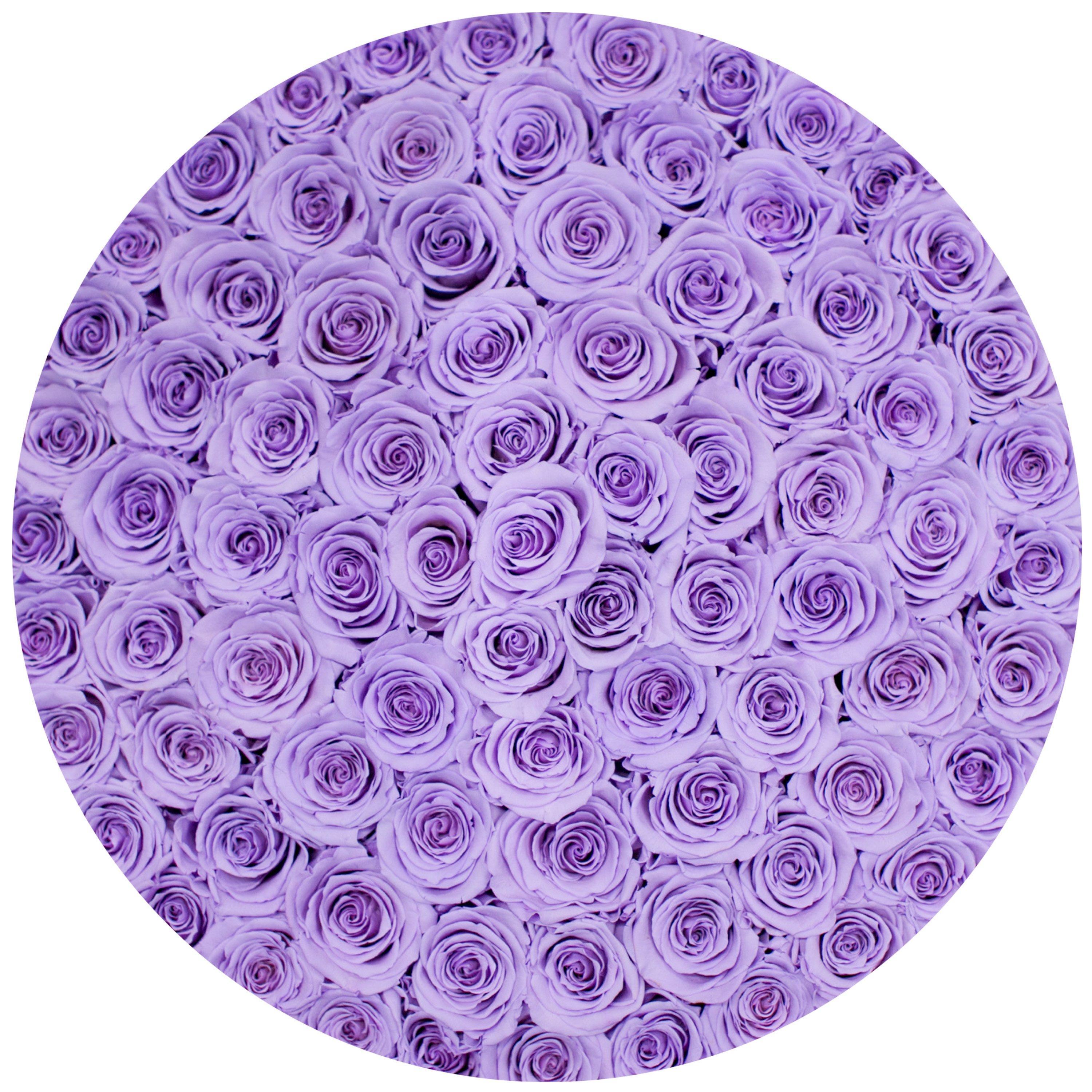 the million LARGE box - gray - lavender ETERNITY roses lavender eternity roses - the million roses