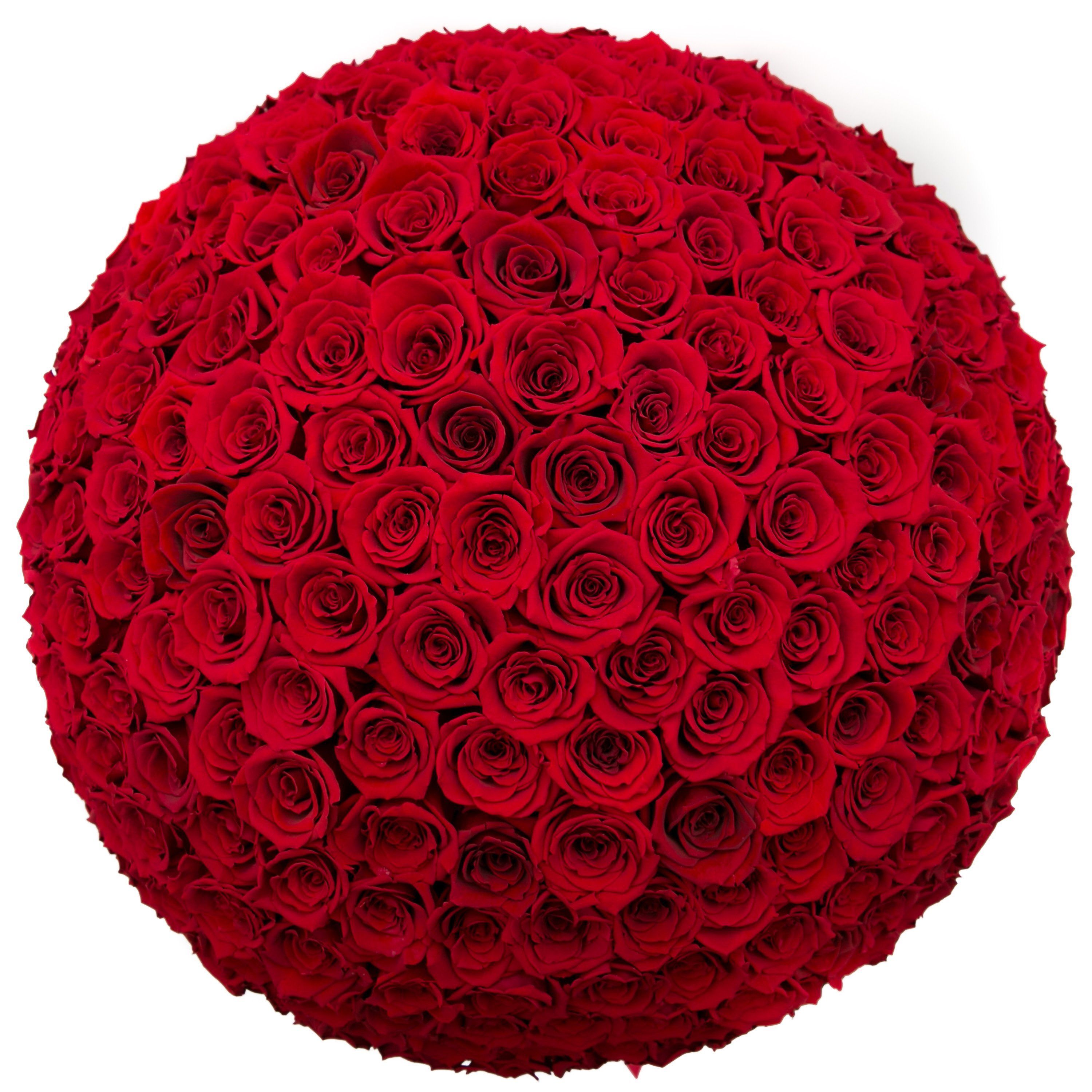 the million LARGE  DOME box - white - dark-red (dome) ETERNITY roses red eternity roses - the million roses