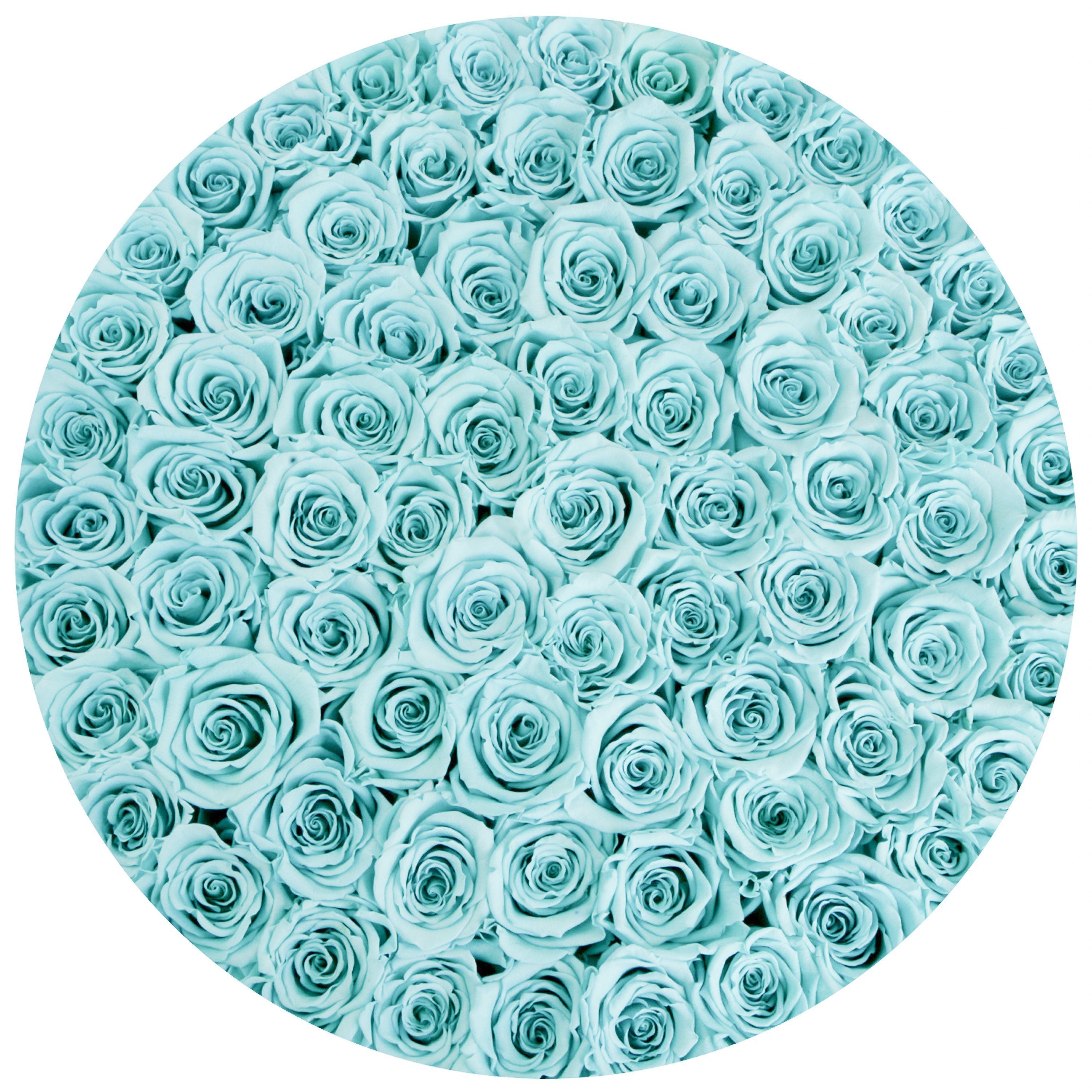 the million LARGE round box - white - tiffany-blue ETERNITY roses tiffany-blue eternity roses - the million roses