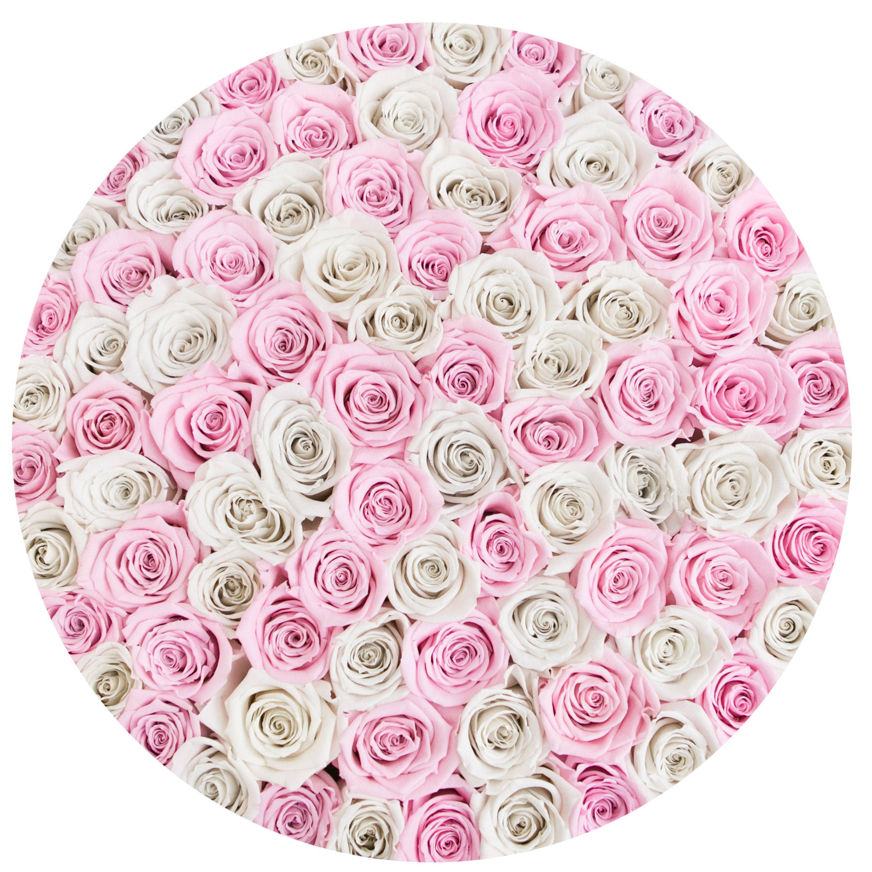 the million LARGE box - white - off-white&light-pink ETERNITY roses mixed eternity roses - the million roses