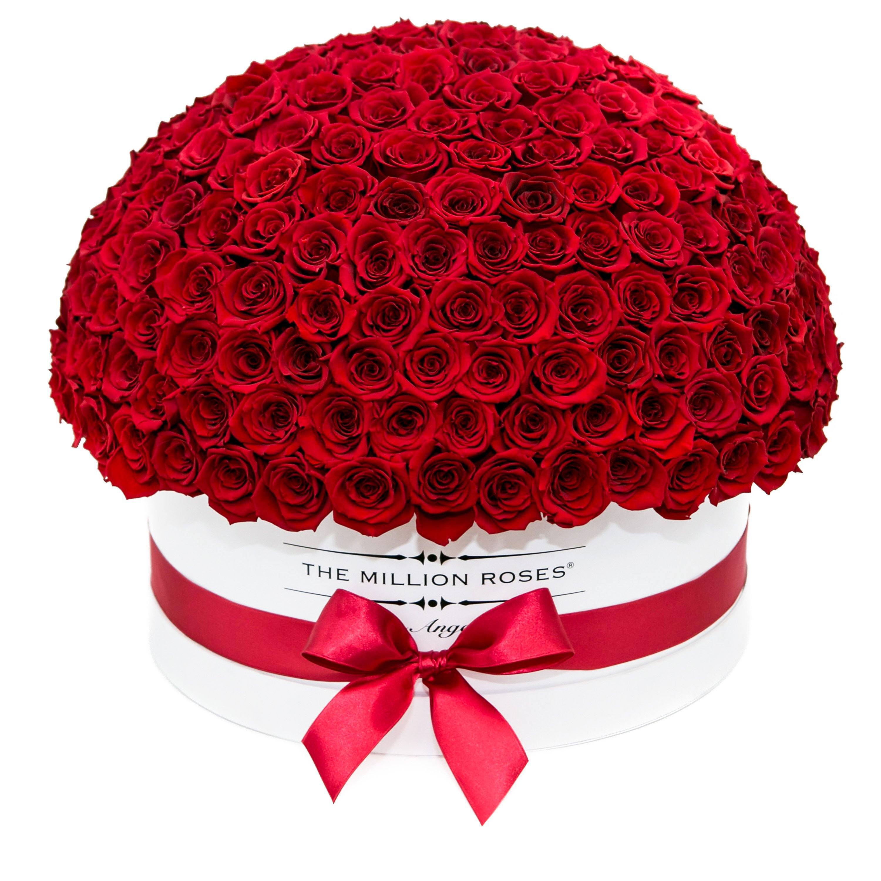 the million LARGE  DOME box - white - dark-red (dome) ETERNITY roses red eternity roses - the million roses