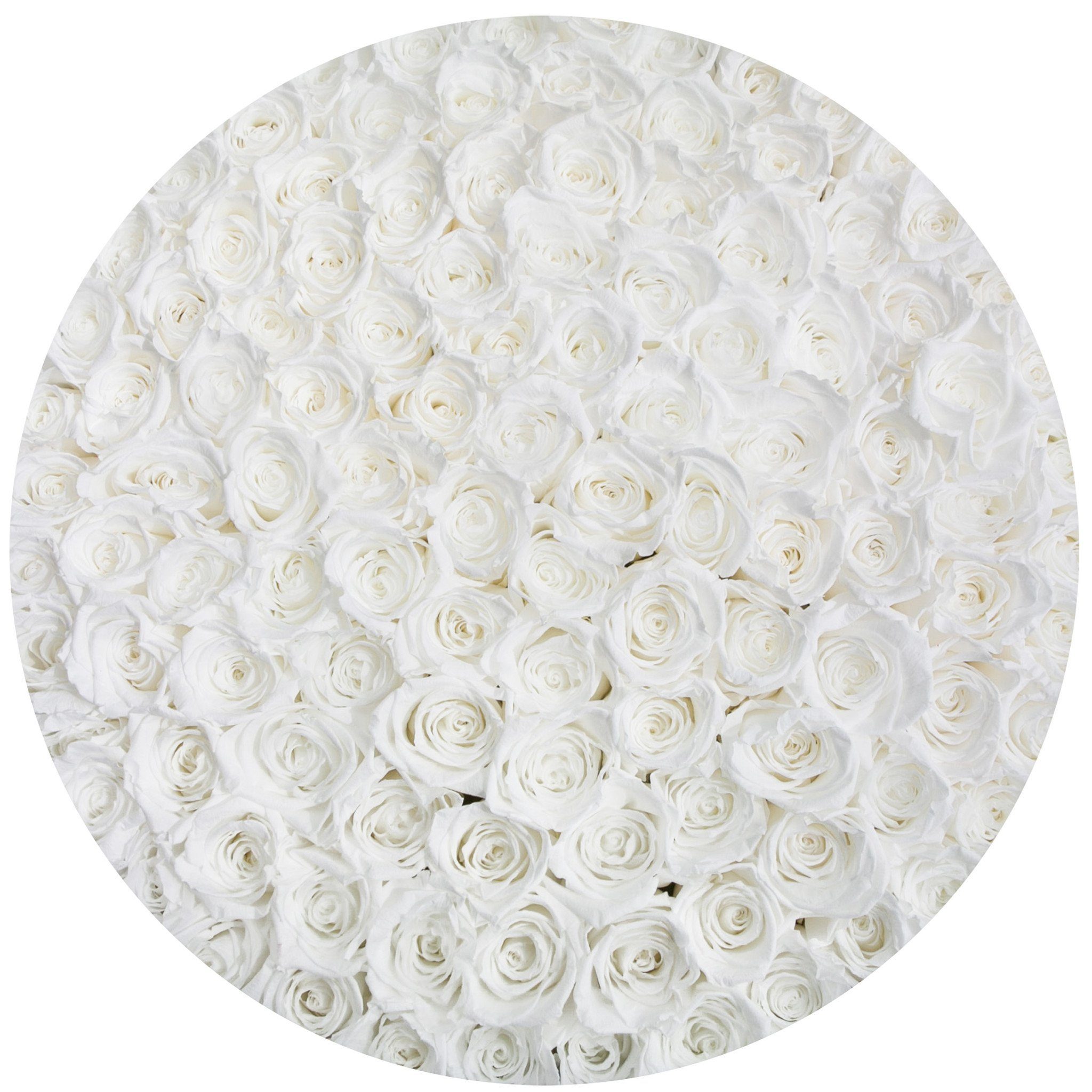the million LARGE round box - black - white ETERNITY roses white eternity roses - the million roses