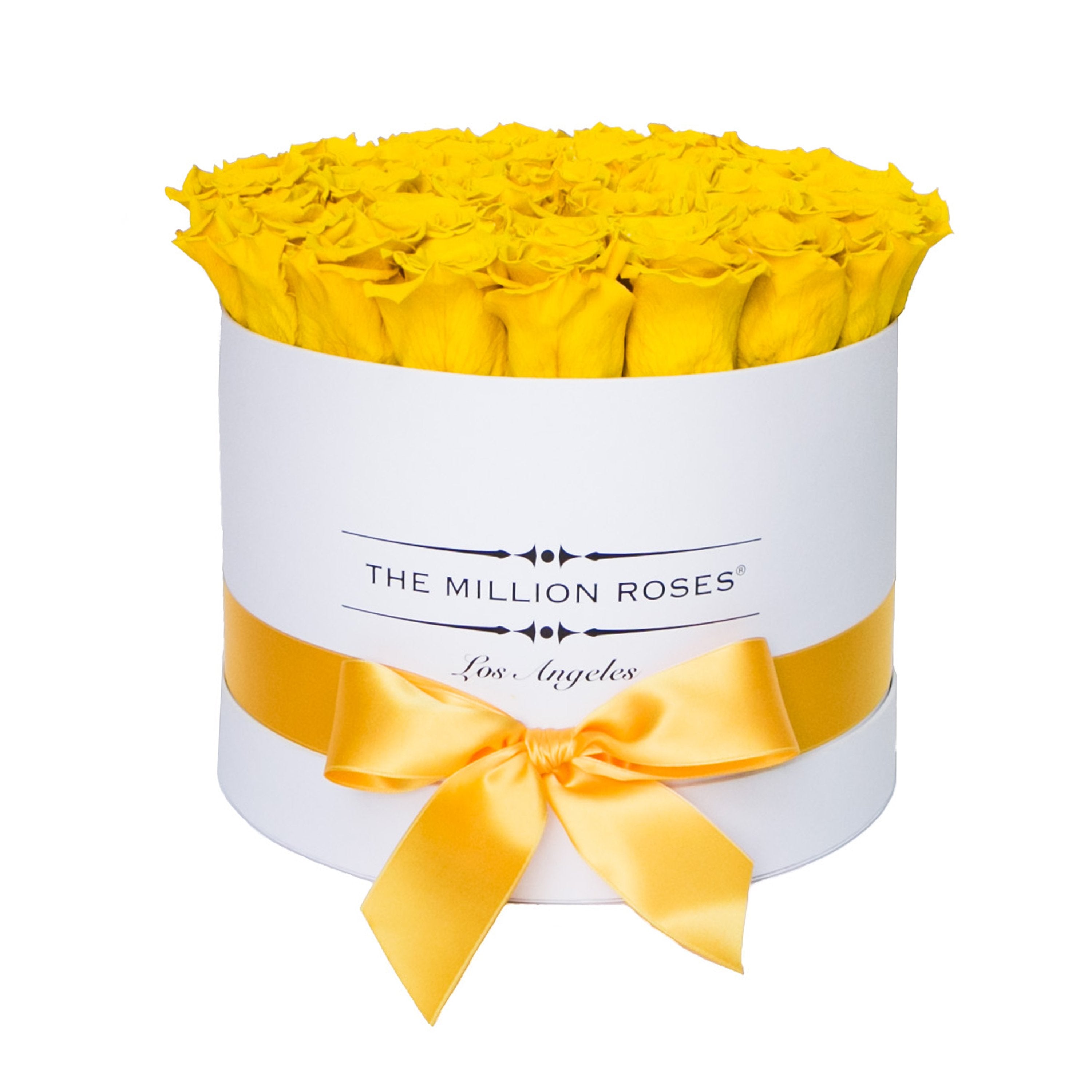 medium round box - white - yellow roses yellow eternity roses - the million roses