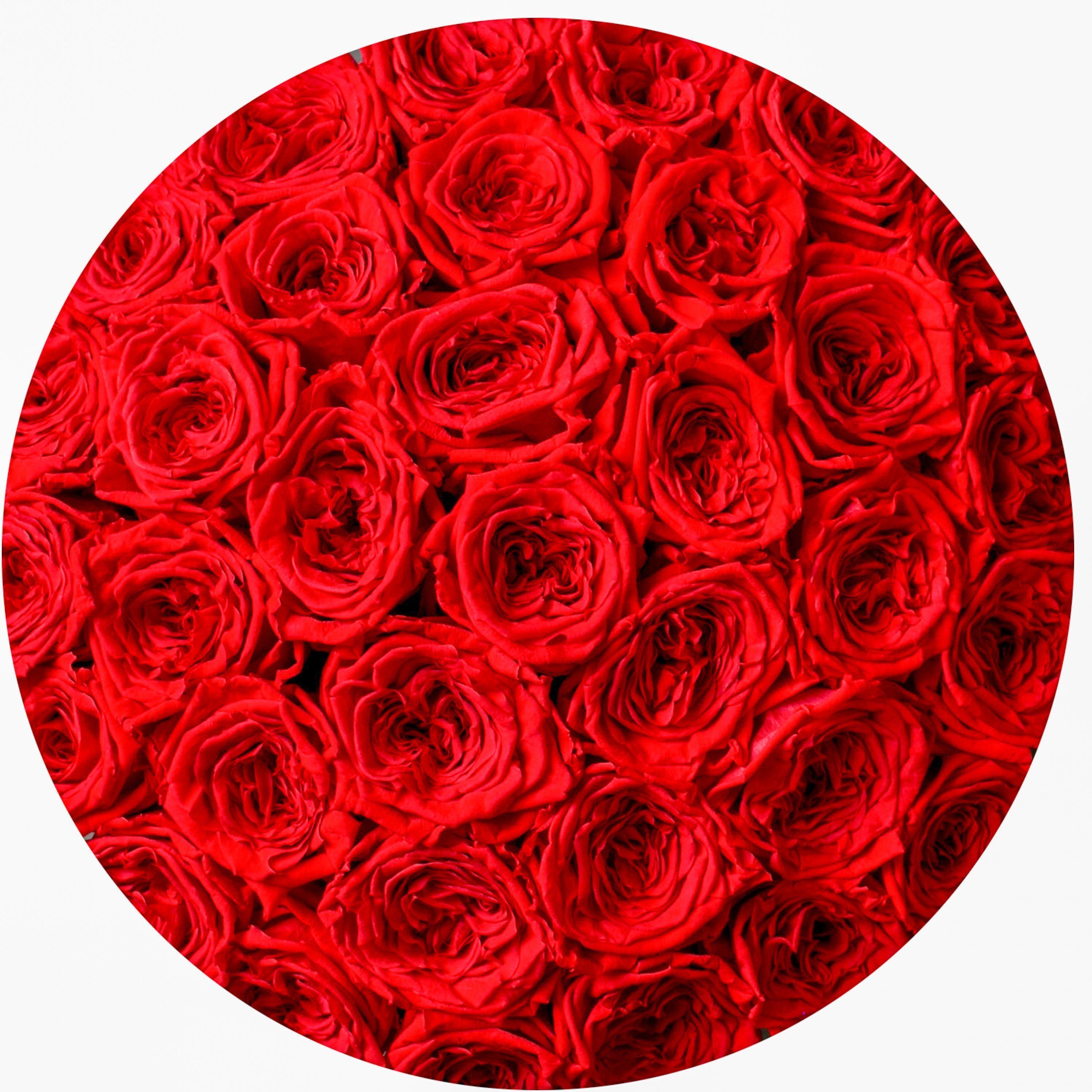 medium round box - gold - bright-red GARDEN roses eternity garden roses - the million roses