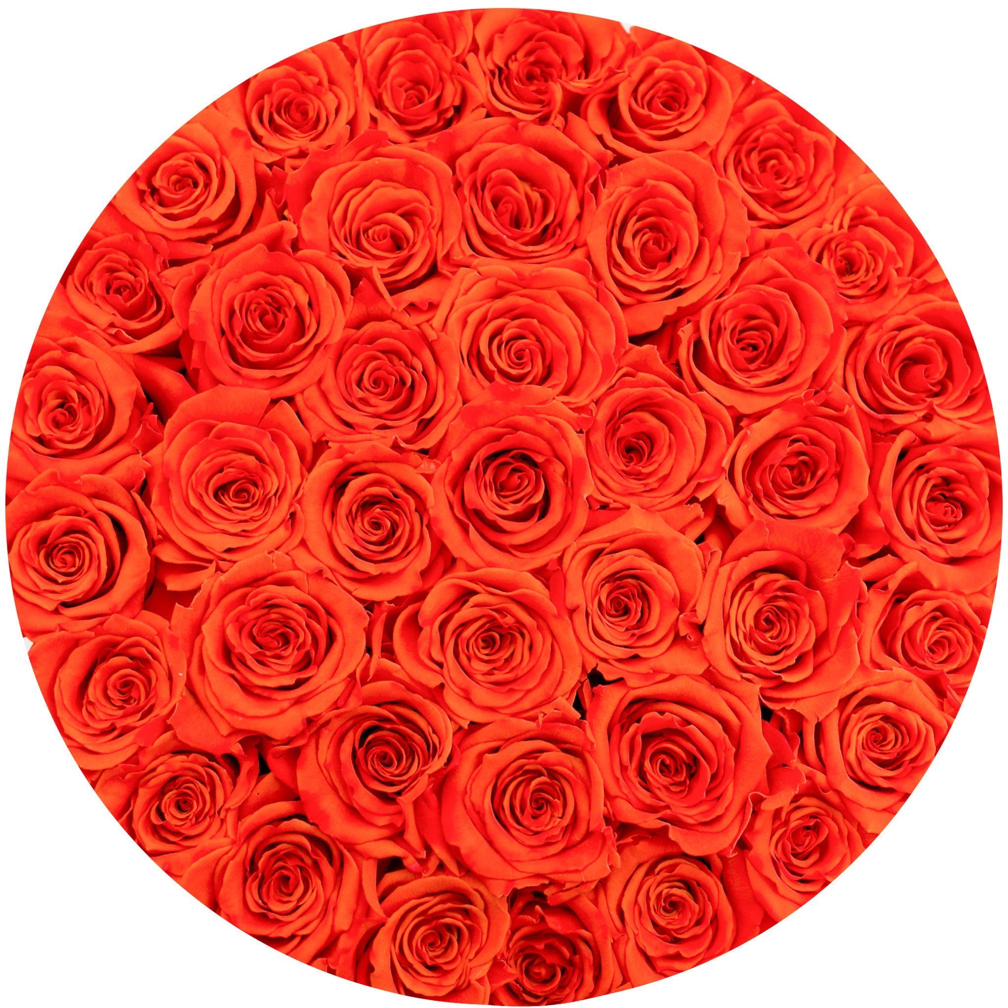 medium round box - white - orange roses orange eternity roses - the million roses