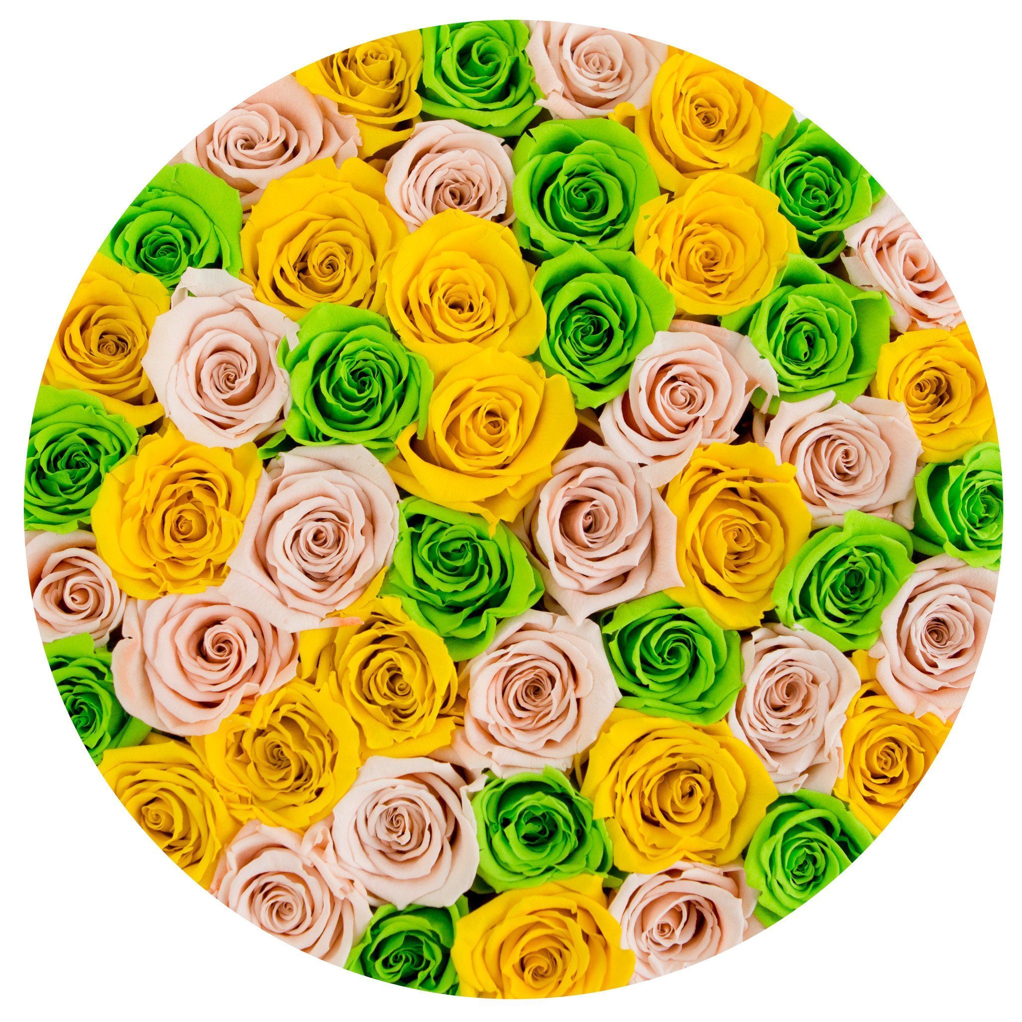 medium round box - white - green&peach&yellow roses mixed eternity roses - the million roses