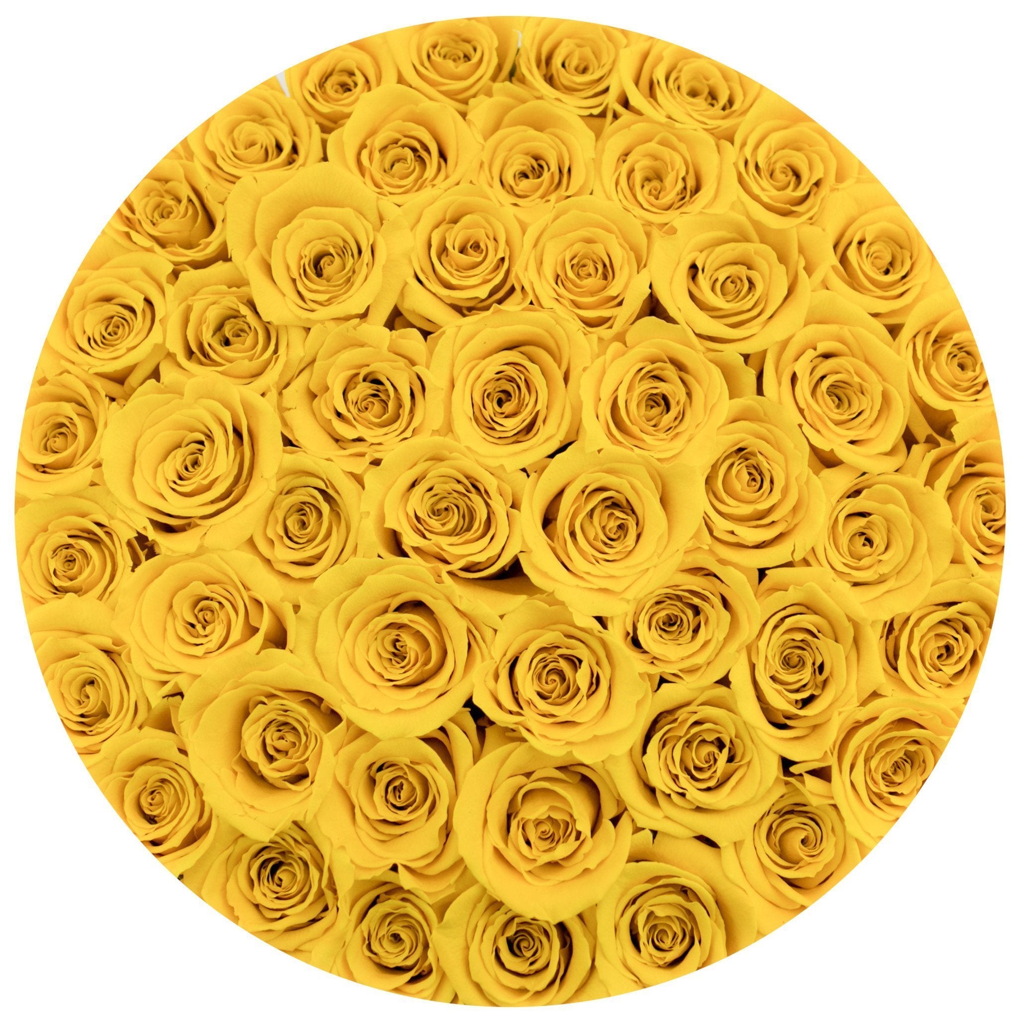 medium round box - black - yellow roses yellow eternity roses - the million roses