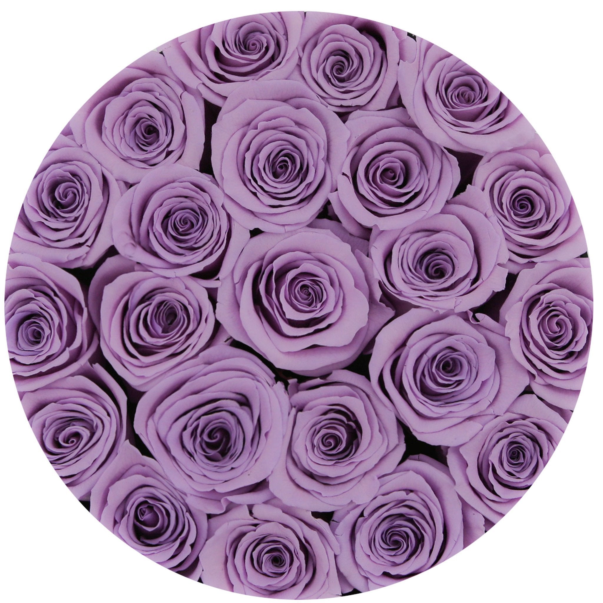 classic round box - black - lavender roses lavender eternity roses - the million roses