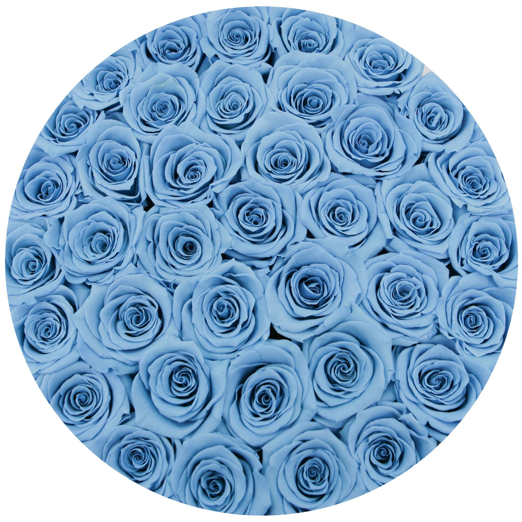 medium round box - white - light-blue roses blue eternity roses - the million roses