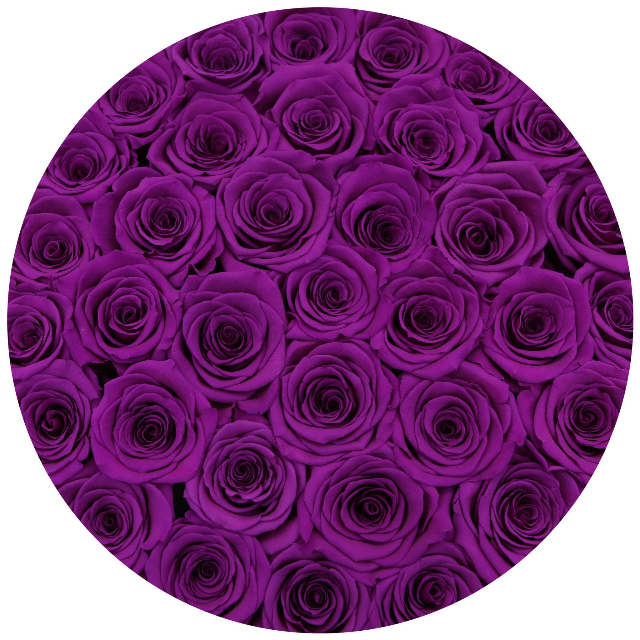 medium round box - white - medium-purple roses purple eternity roses - the million roses