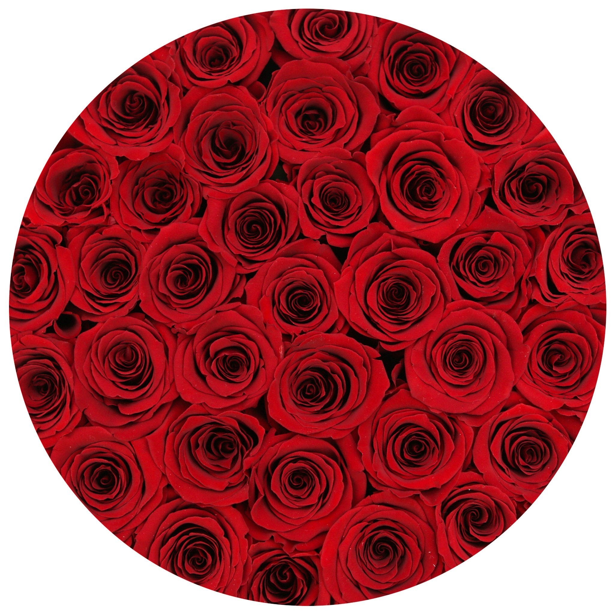 medium round box - black - red roses red eternity roses - the million roses