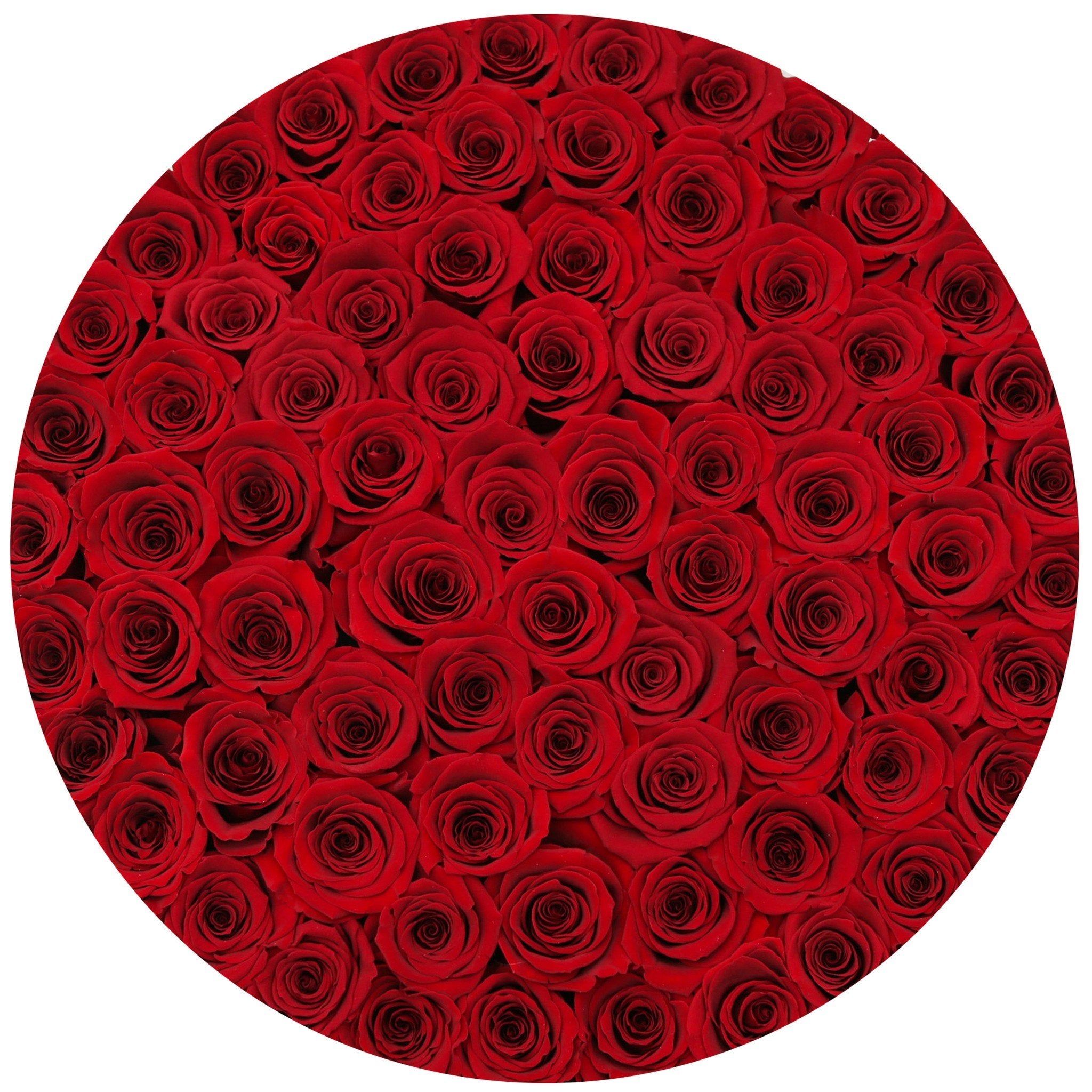 the million LARGE round box - black - red ETERNITY roses red eternity roses - the million roses