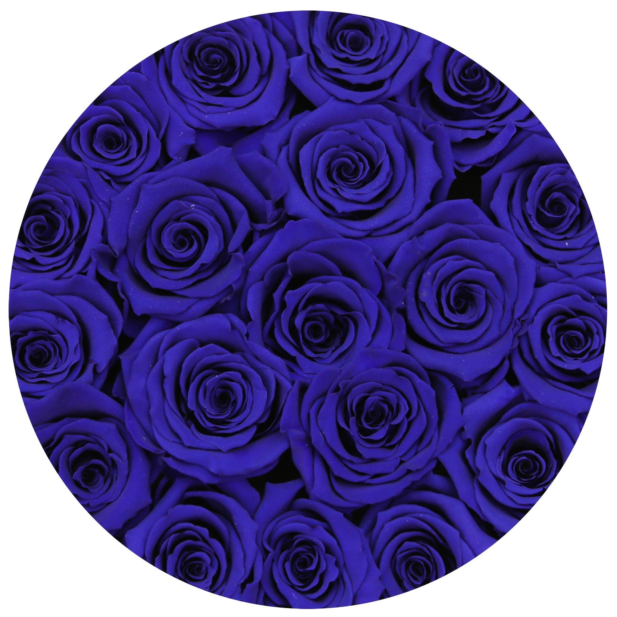 classic round box - white - blue roses blue eternity roses - the million roses