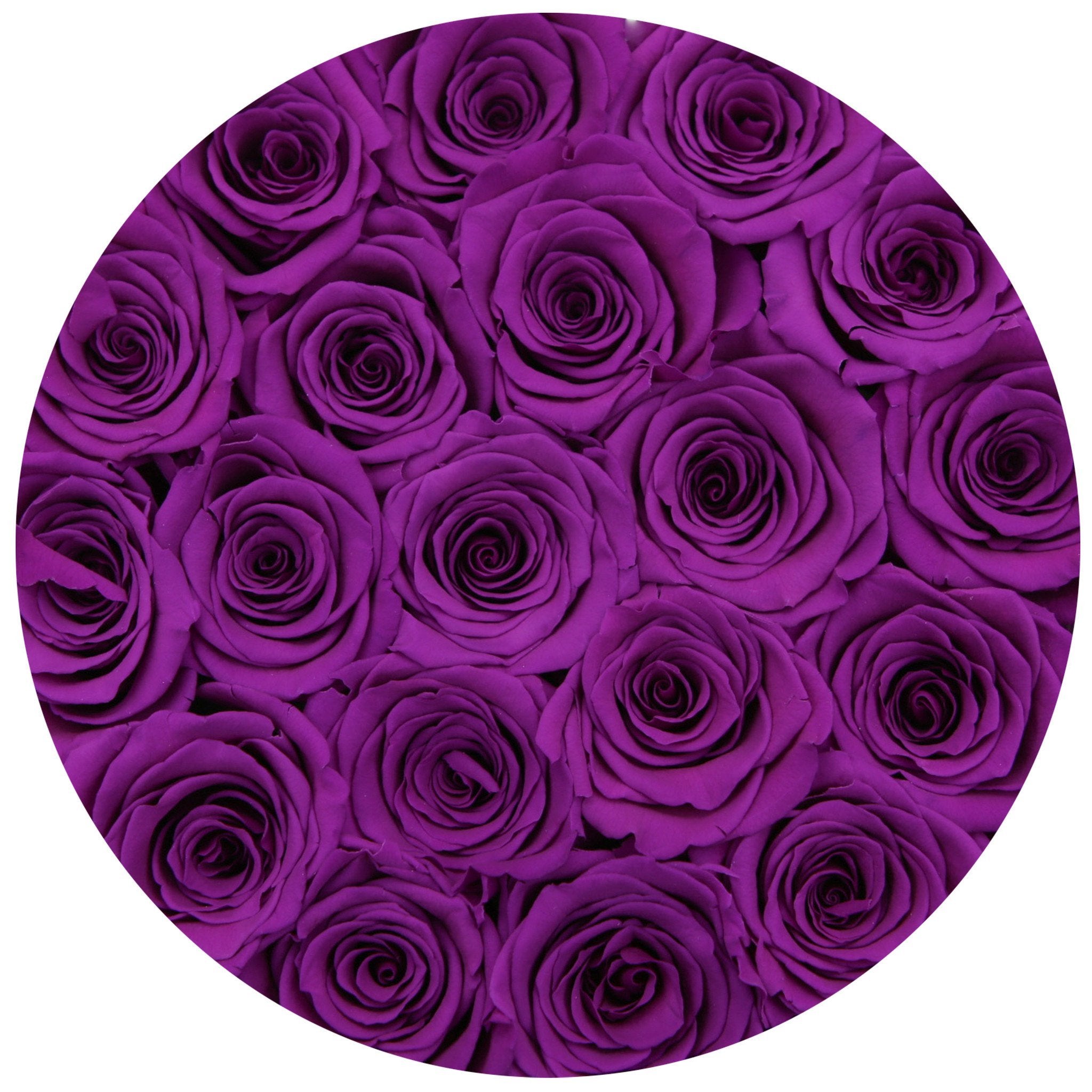 classic round box - white - medium-purple roses purple eternity roses - the million roses