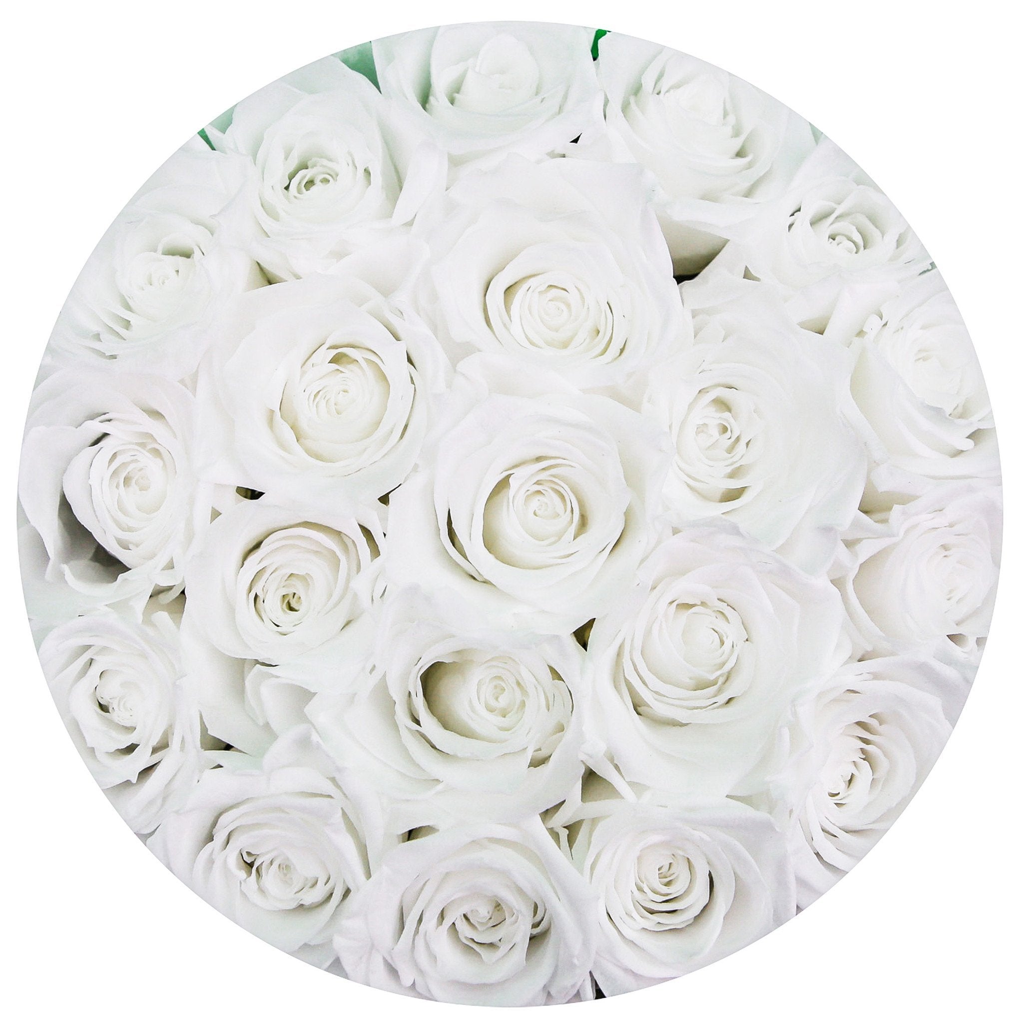 classic round box - white - white roses white eternity roses - the million roses