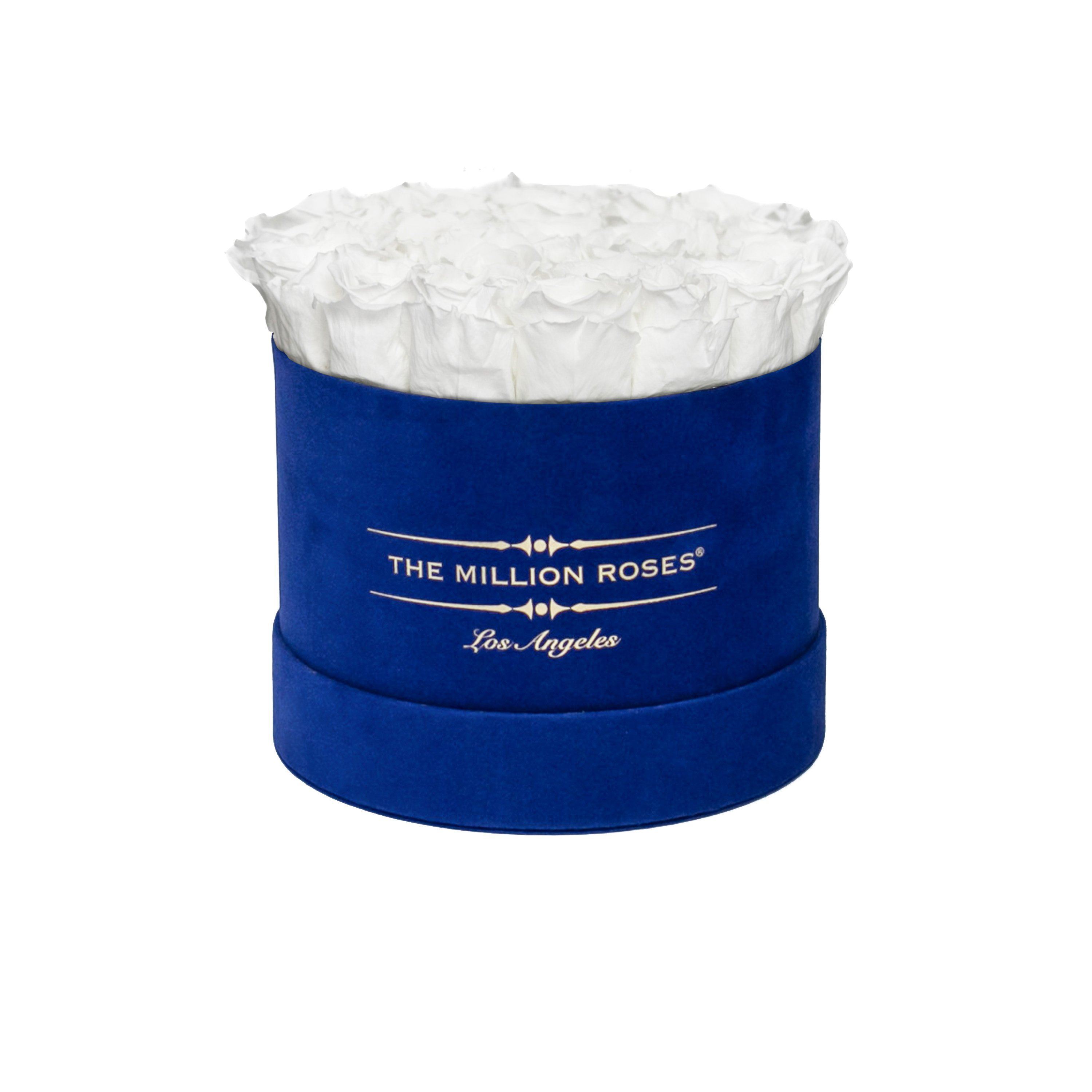 classic round box - royal-blue suede box - white roses white eternity roses - the million roses