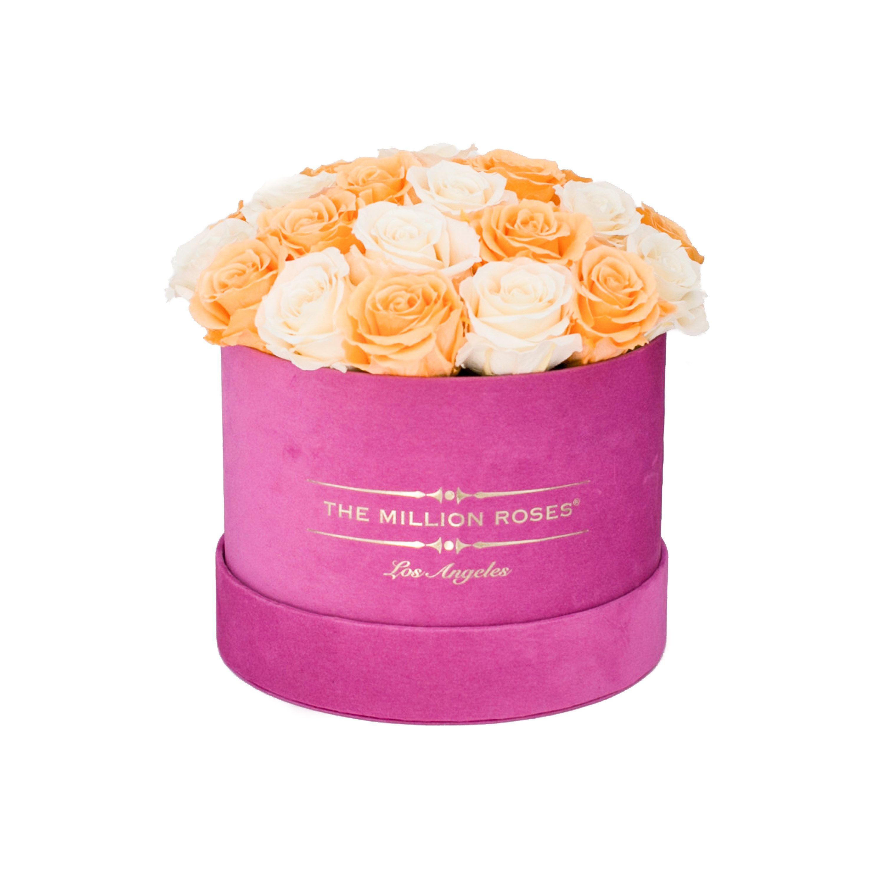 classic round box - hot-pink suede box - apricot/ivory roses ( dome ) apricot eternity roses - the million roses