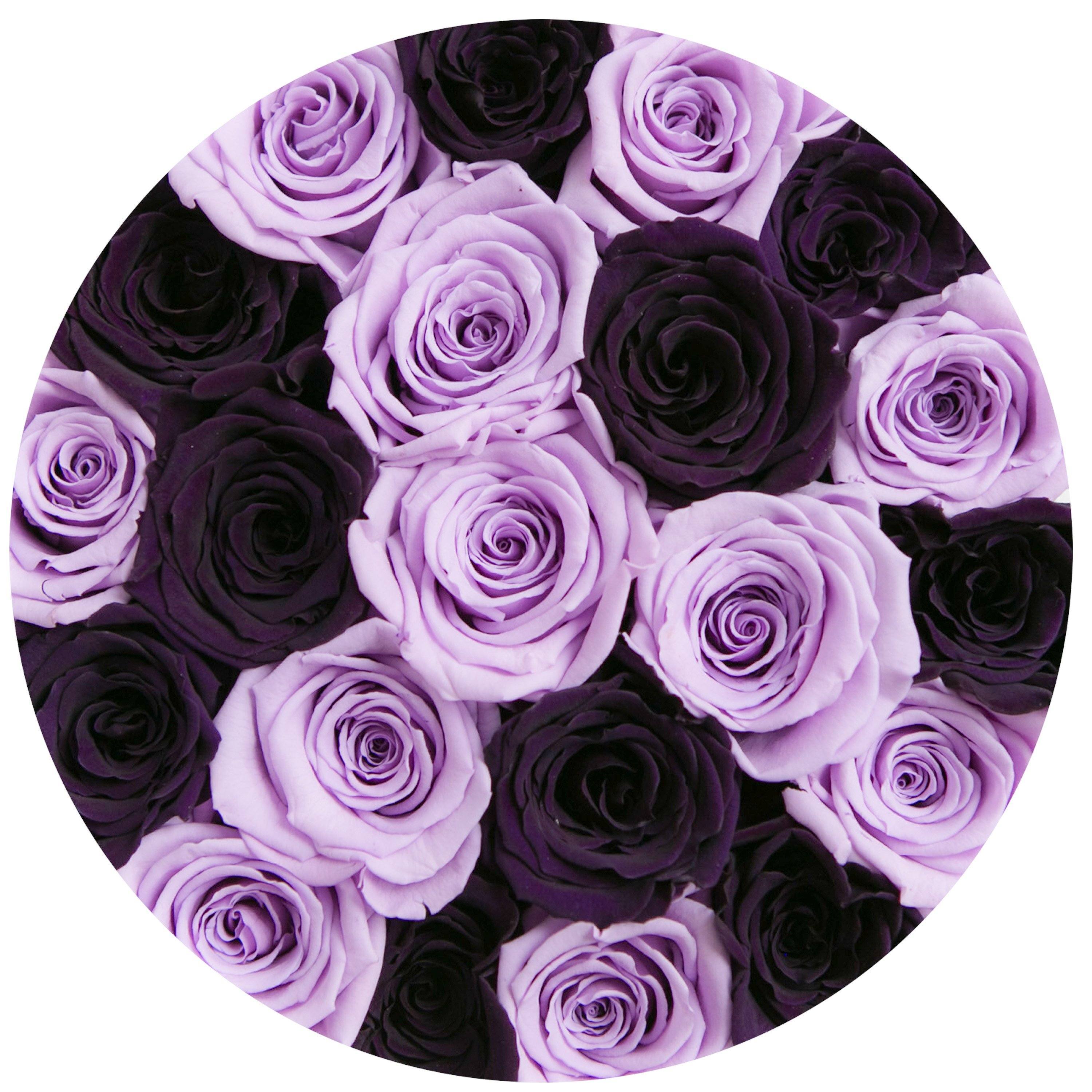 classic round box - white - lavender&dark-purple roses lavender eternity roses - the million roses