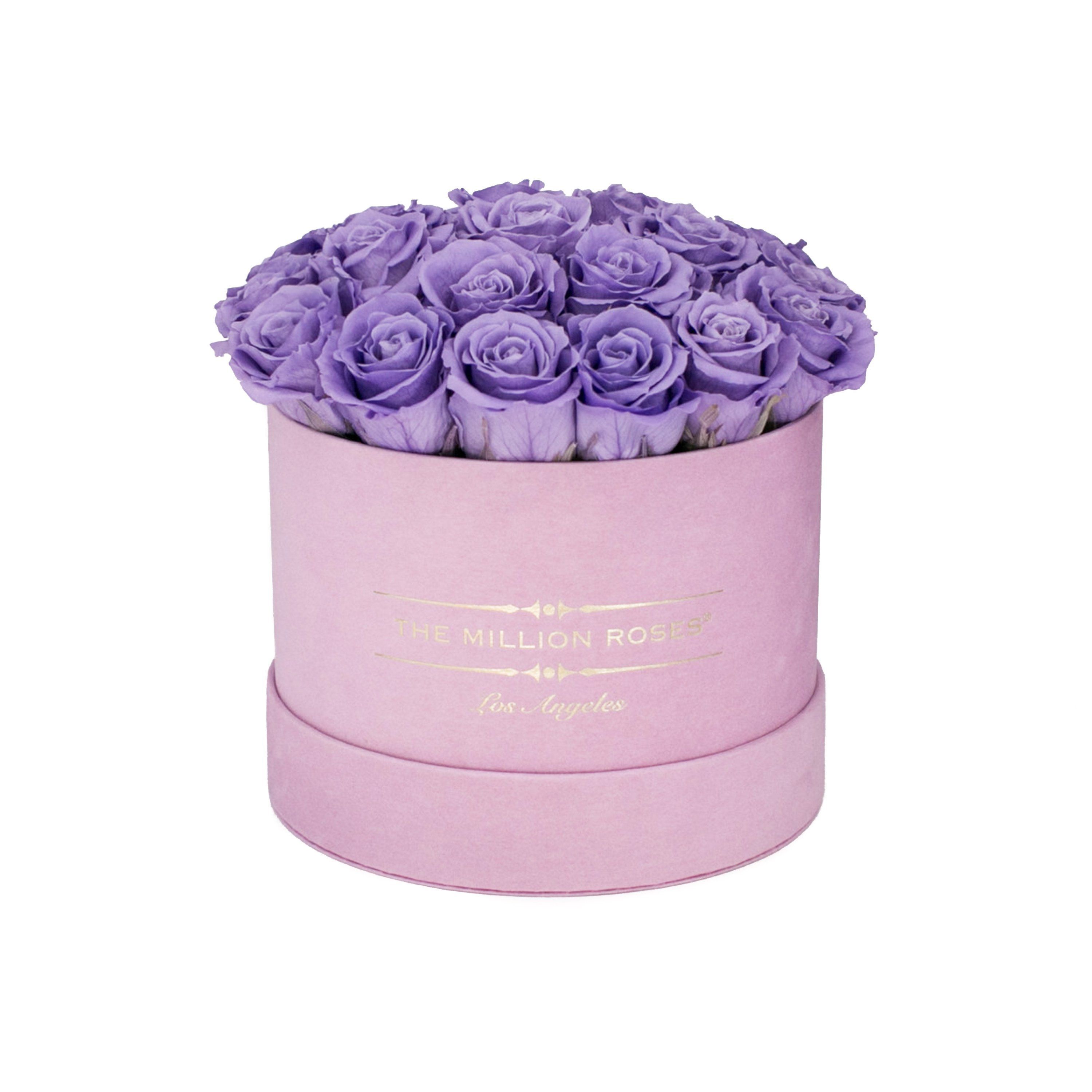 classic round box - light-pink suede box - violet roses ( dome ) violet eternity roses - the million roses