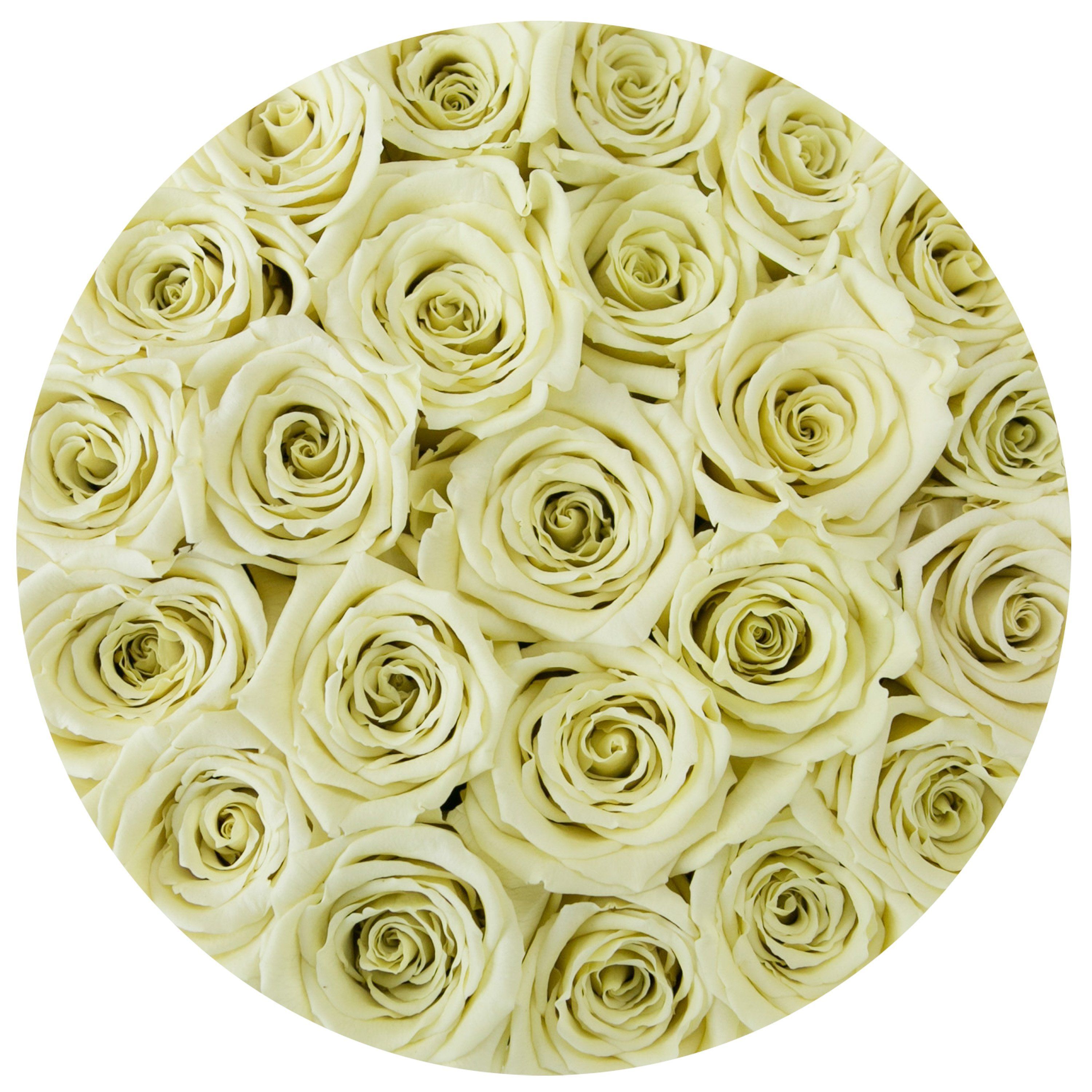 classic round box - black - vanilla roses vanilla eternity roses - the million roses