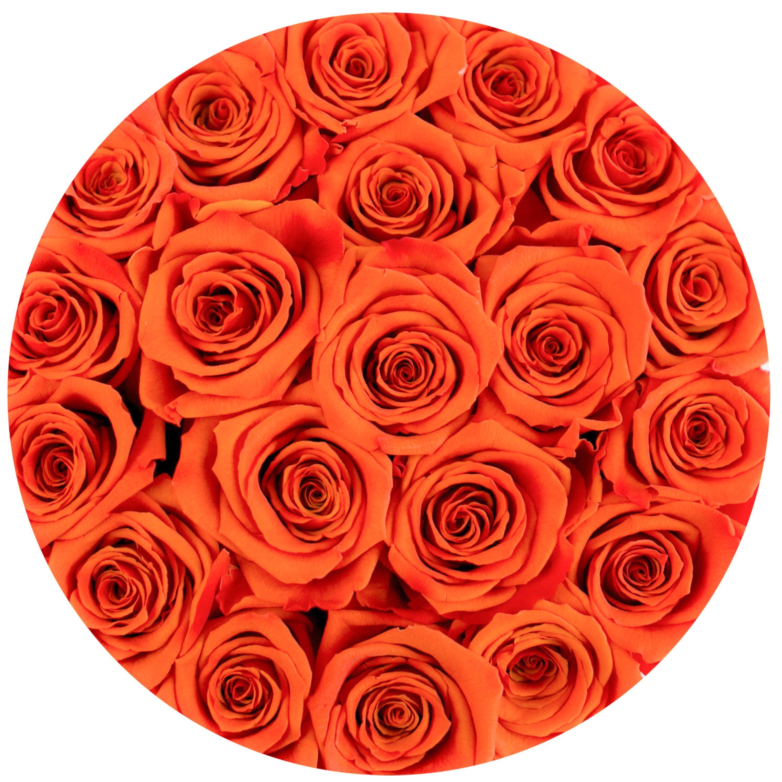 classic round box - gold - orange roses orange eternity roses - the million roses