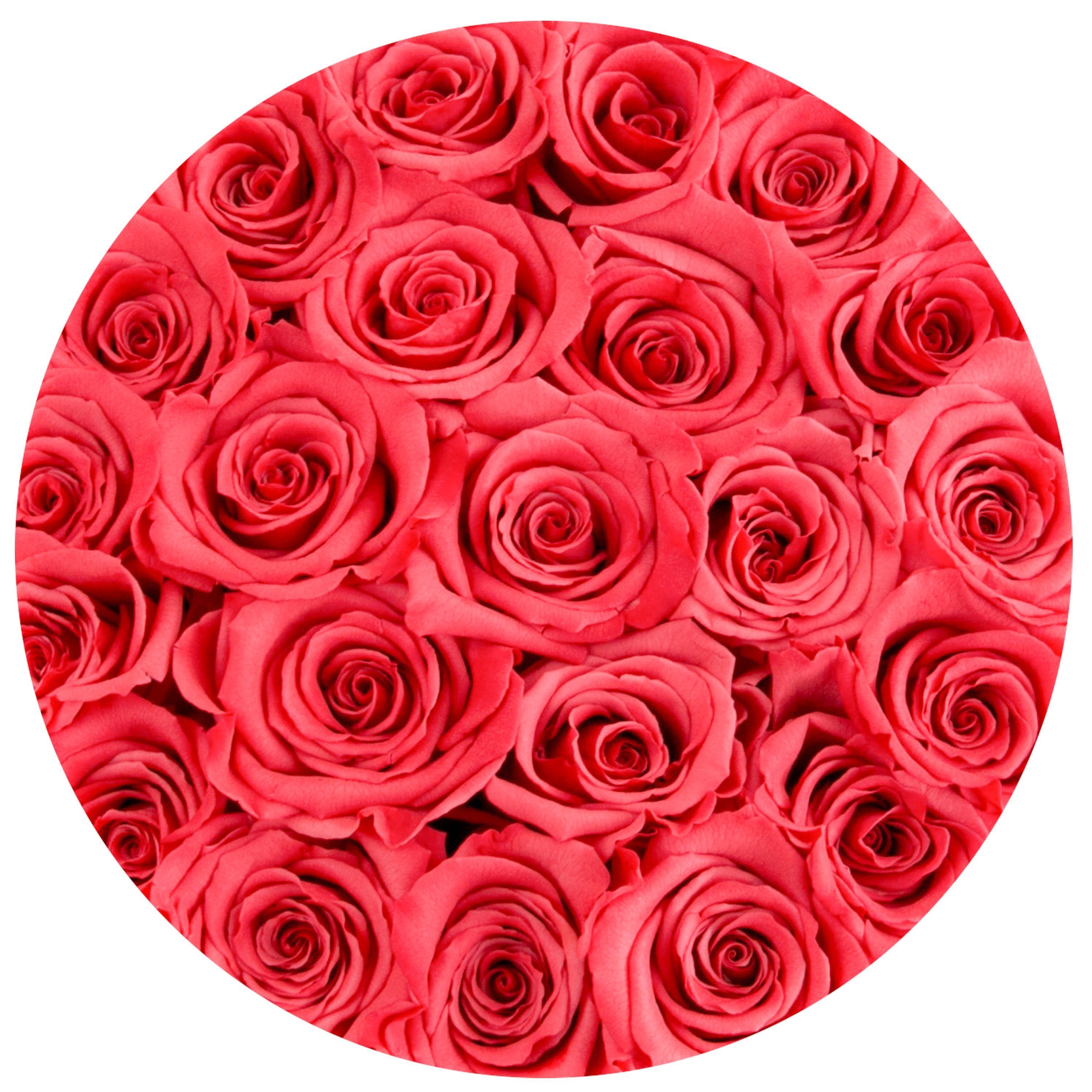 classic round box - white - coral roses coral eternity roses - the million roses