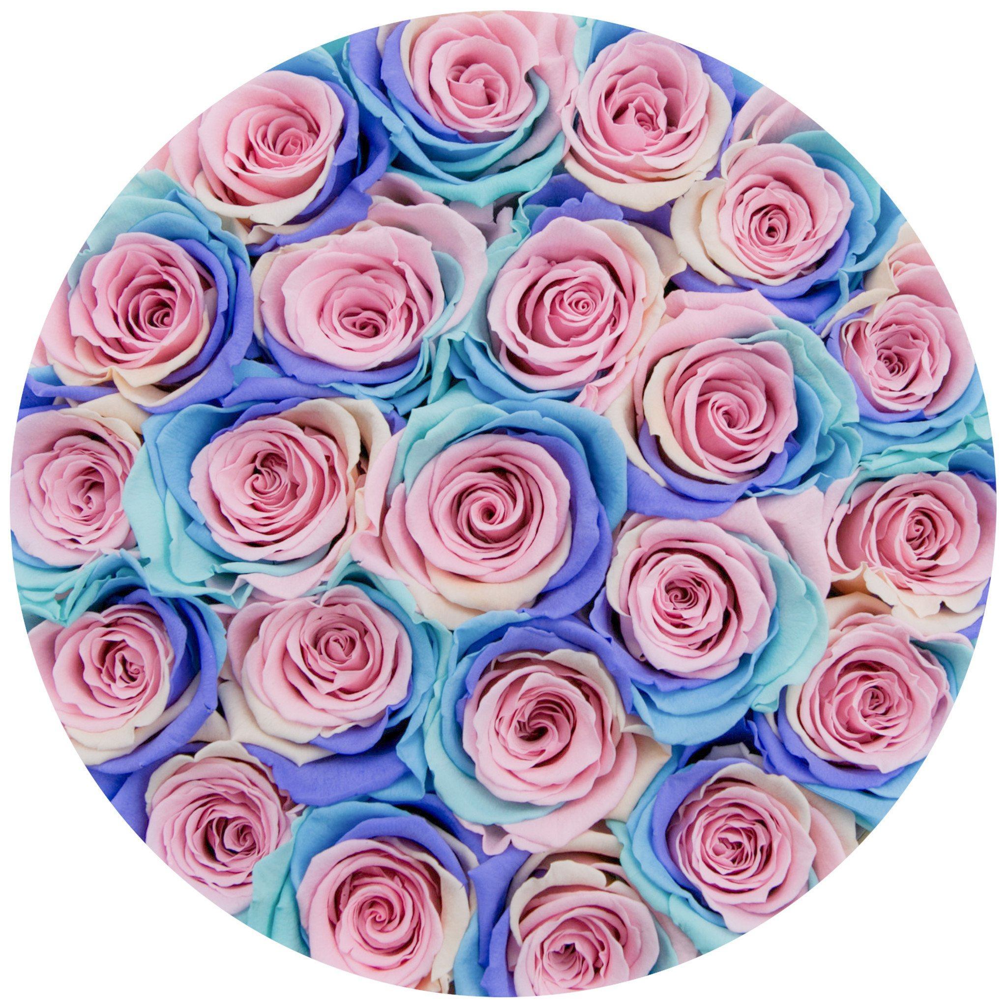 classic round box - black - pastel-rainbow roses rainbow eternity roses - the million roses