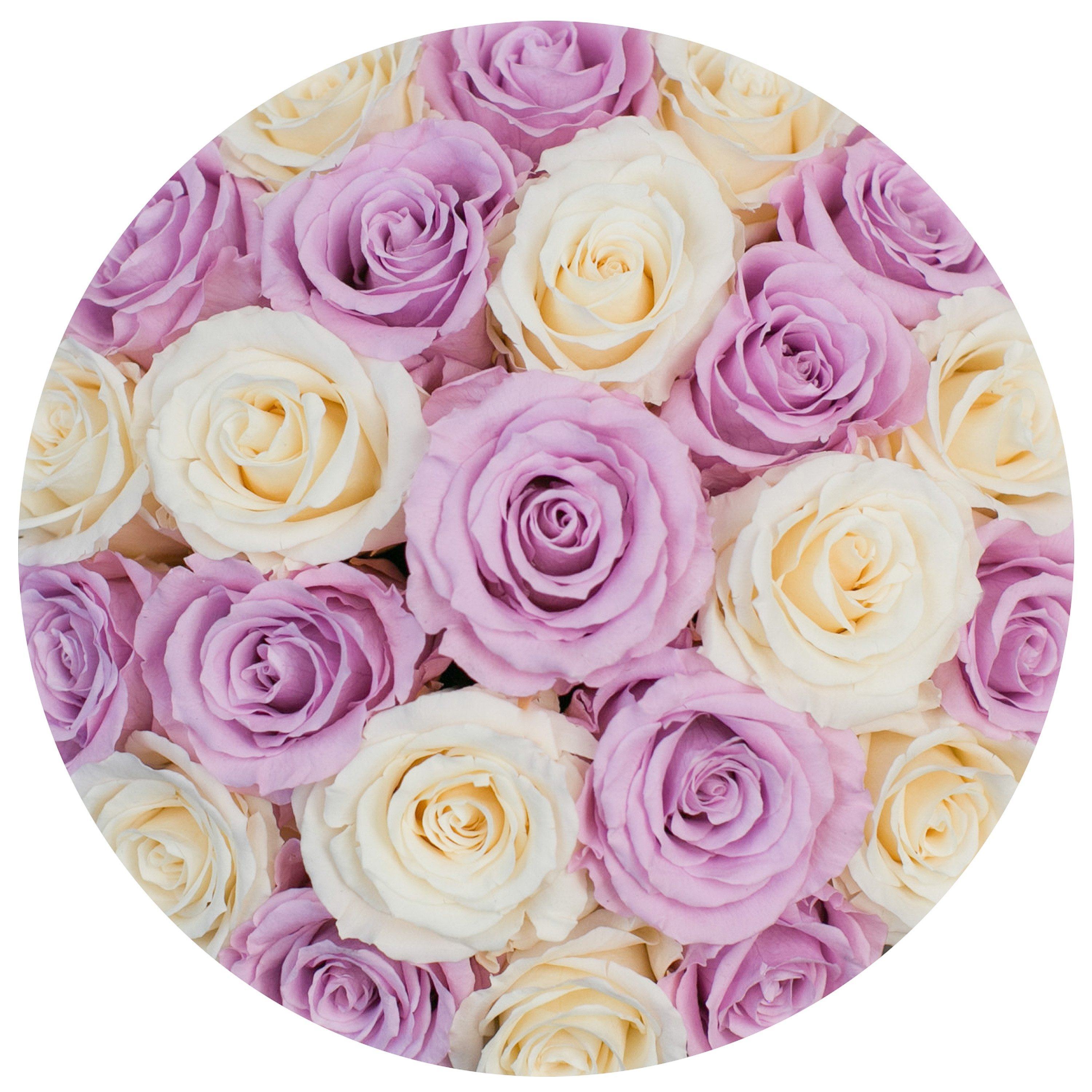 classic round box - hot-pink suede box - ivory/pink roses ( dome ) pink eternity roses - the million roses