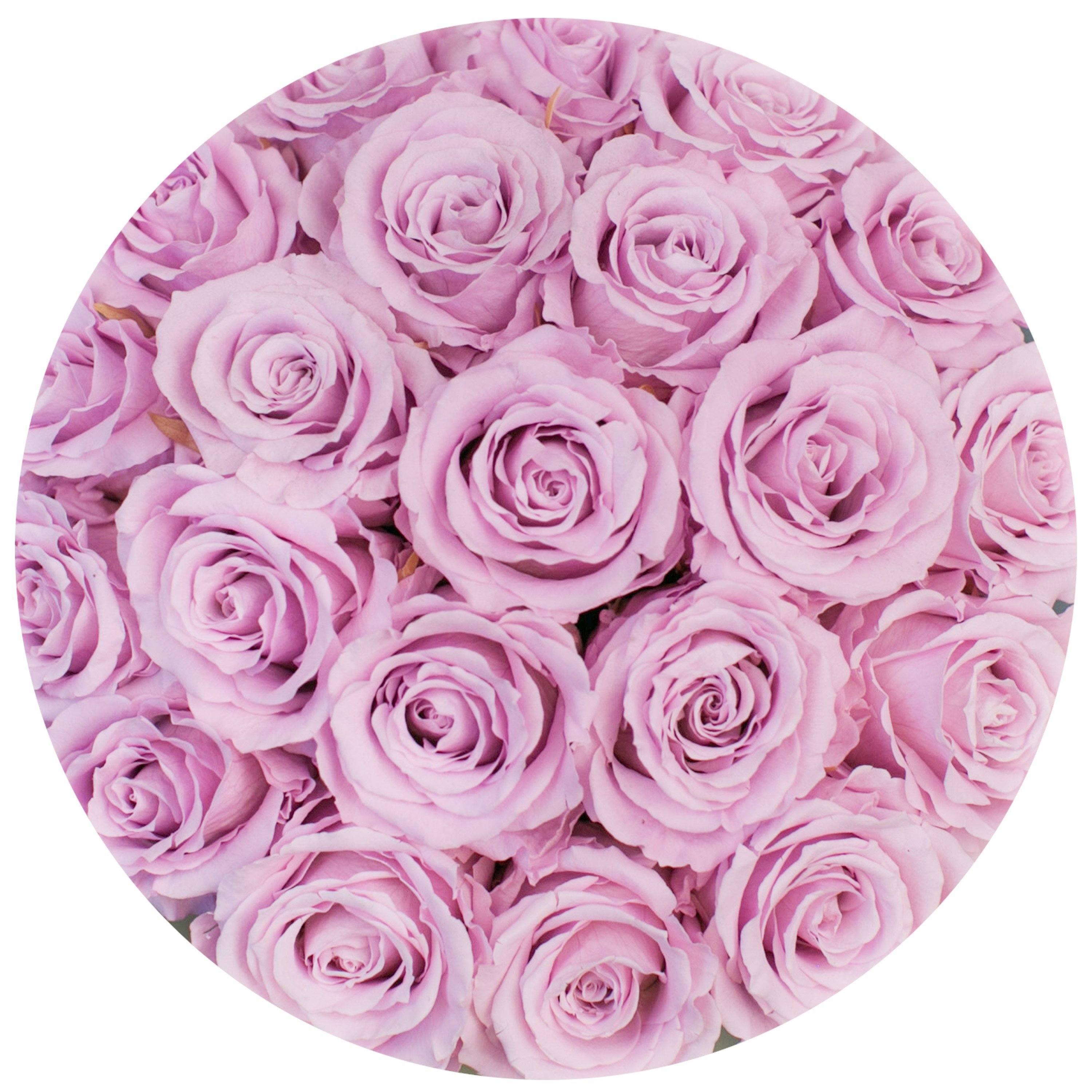 classic round box - light-pink suede box - light-pink roses pink eternity roses - the million roses